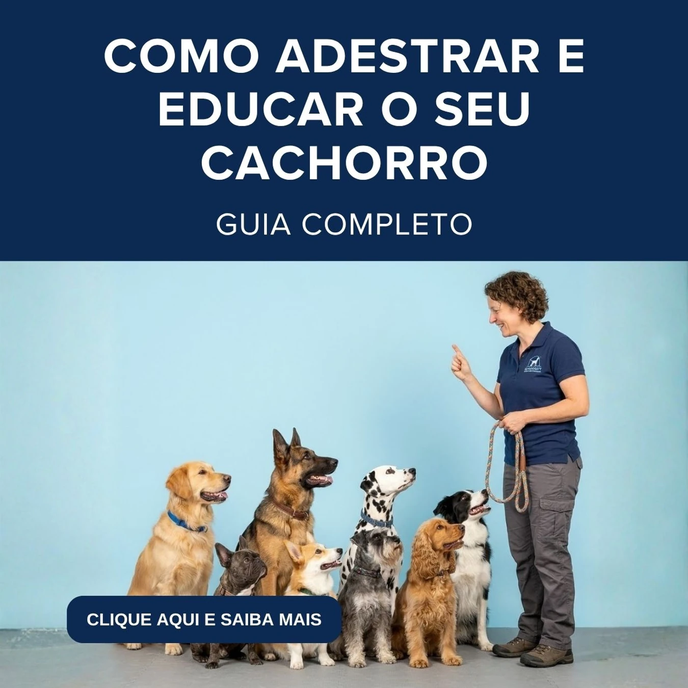 Guia de Como Educar e Adestrar o Seu Cachorro