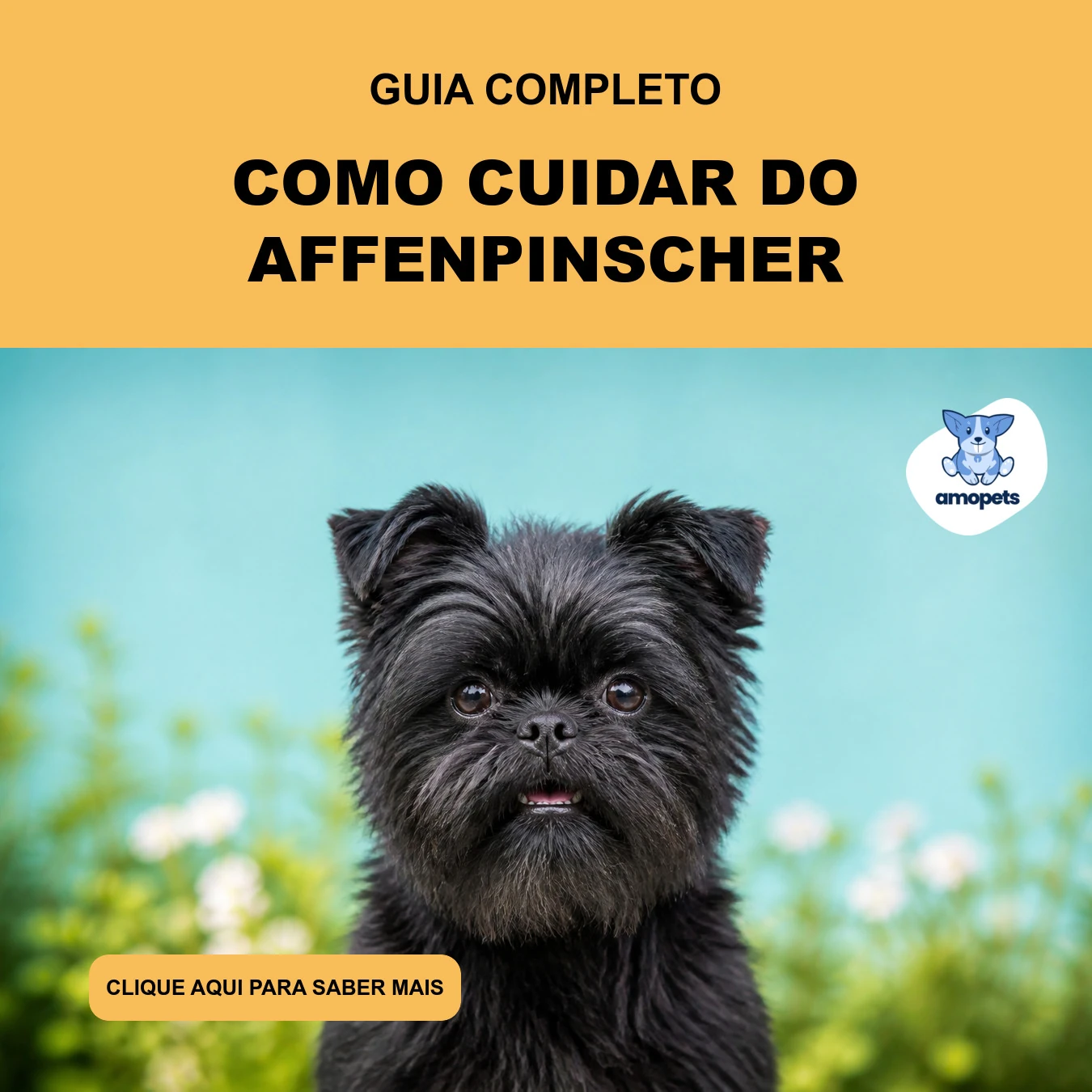 Guia de Como Cuidar do Affenpinscher
