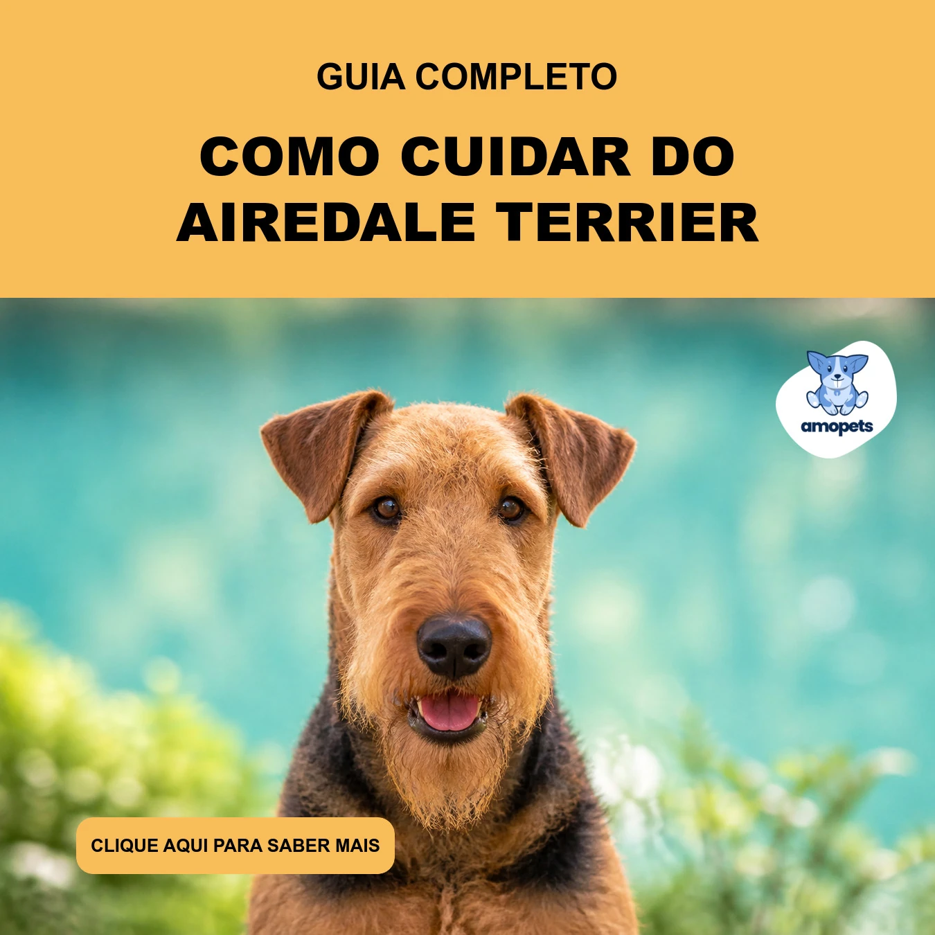 Guia de Como Cuidar do Airedale Terrier