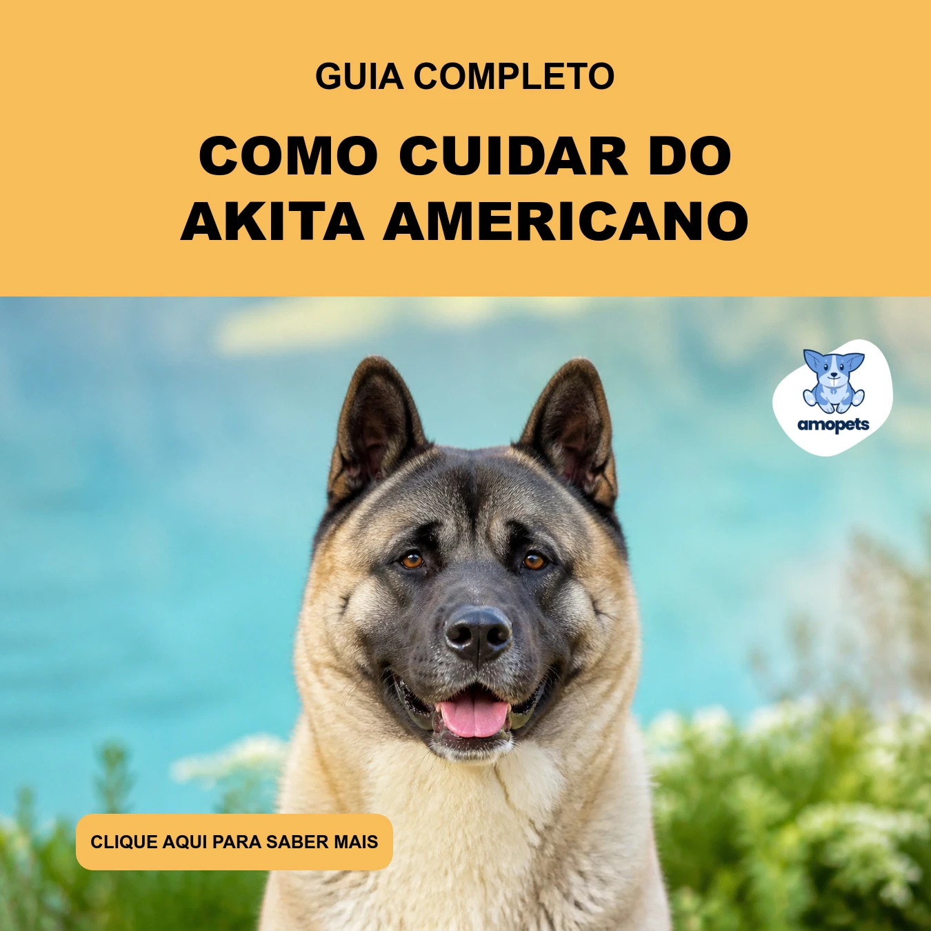 Guia de Como Cuidar do Akita Americano
