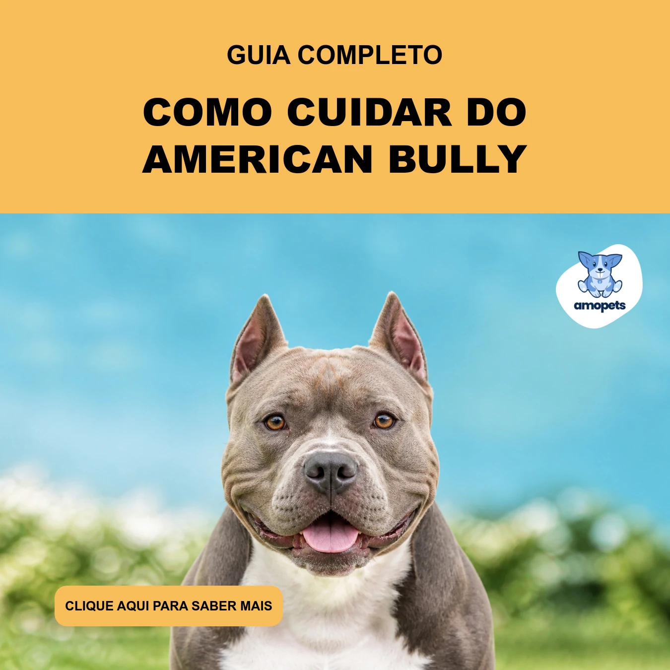Guia de Como Cuidar do American Bully