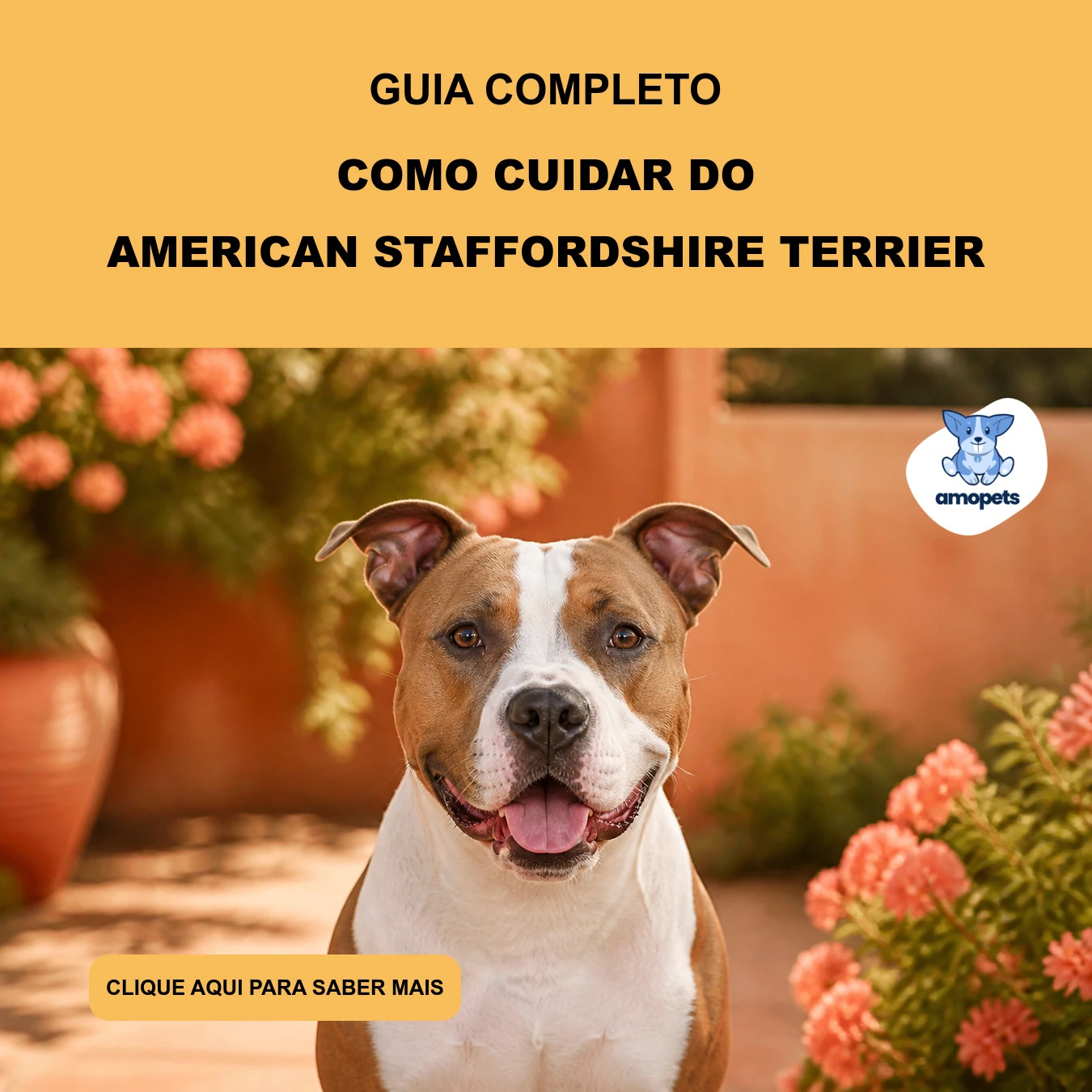 Guia de Como Cuidar do American Staffordshire Terrier