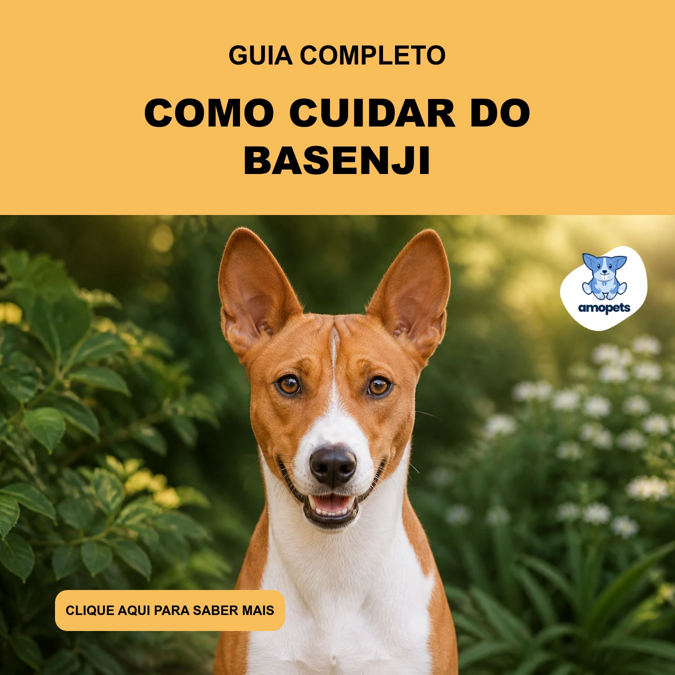 Guia de Como Cuidar do Basenji