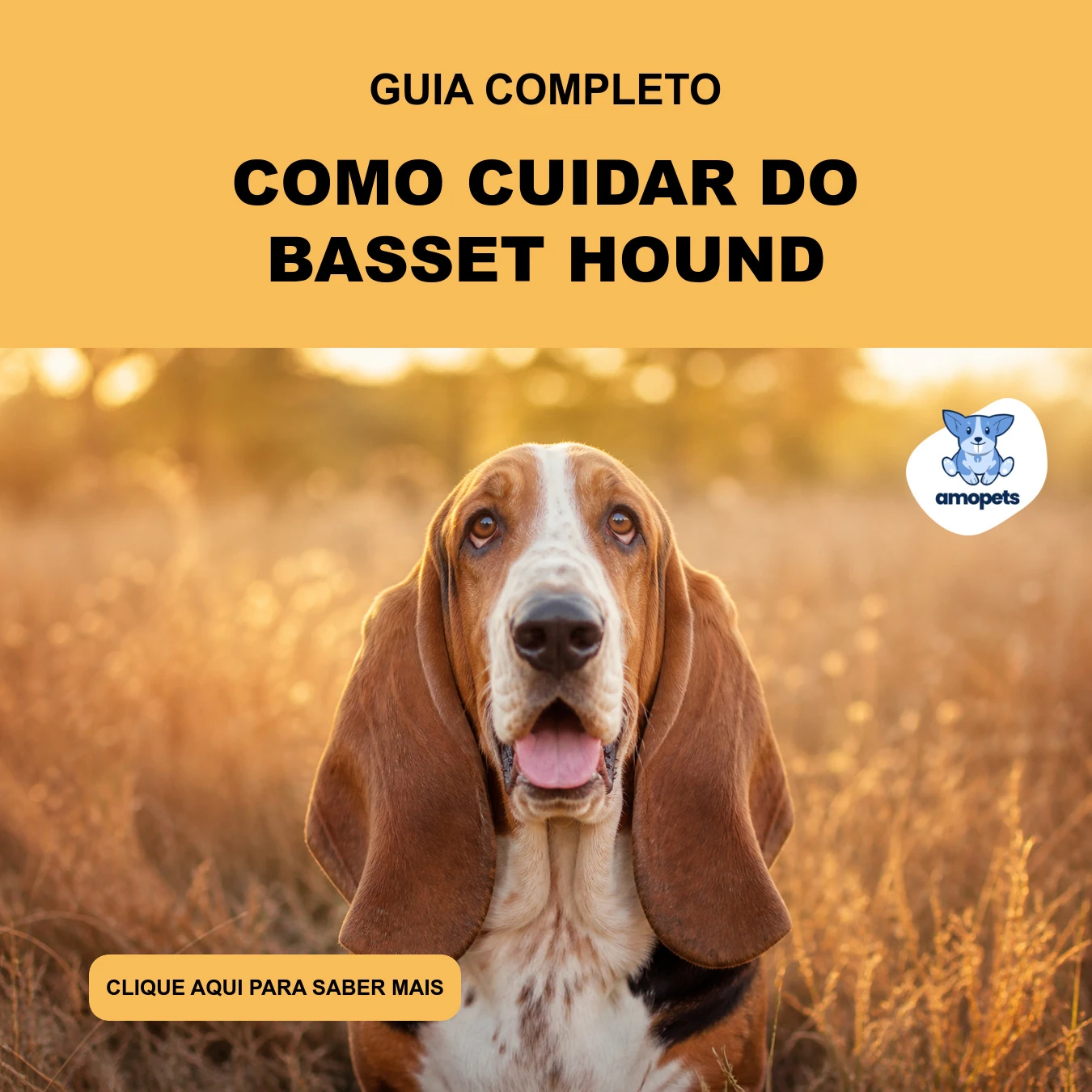 Guia de Como Cuidar do Basset Hound