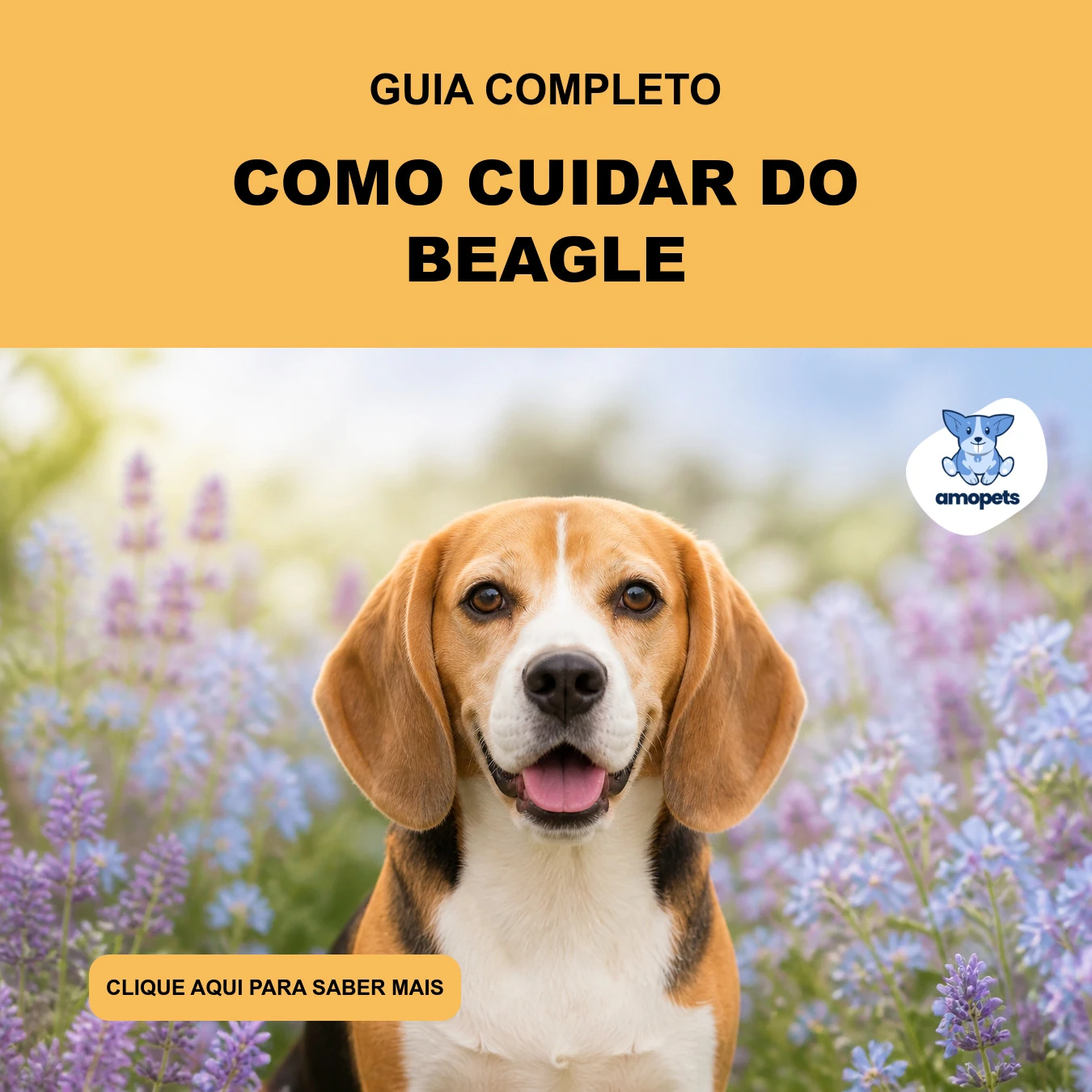 Guia de Como Cuidar do Beagle
