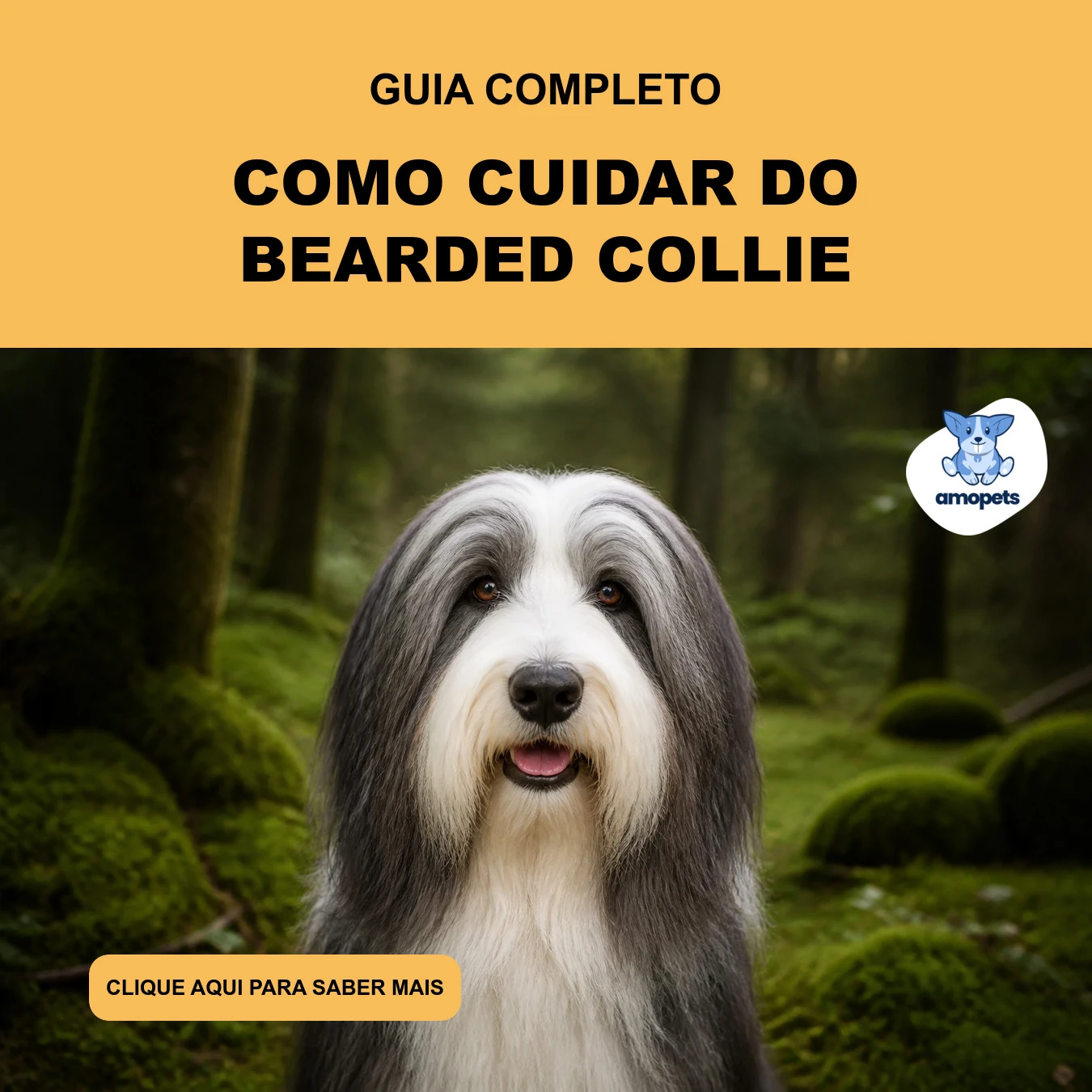 Guia de Como Cuidar do Bearded Collie