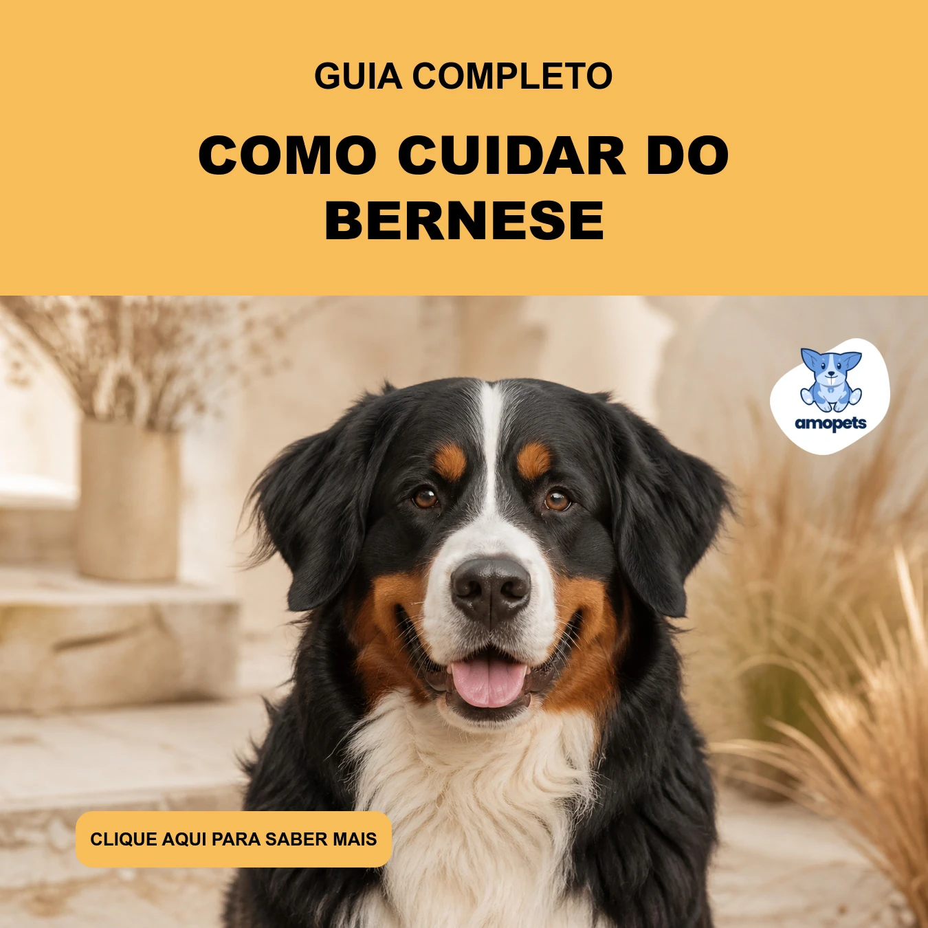 Guia de Como Cuidar do Bernese
