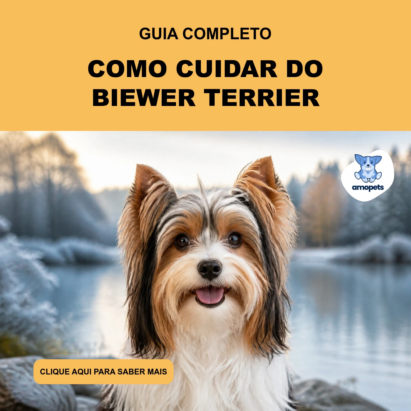 Guia de Como Cuidar do Biewer Terrier