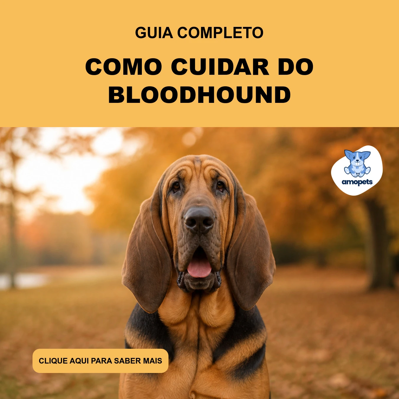 Guia de Como Cuidar do Bloodhound