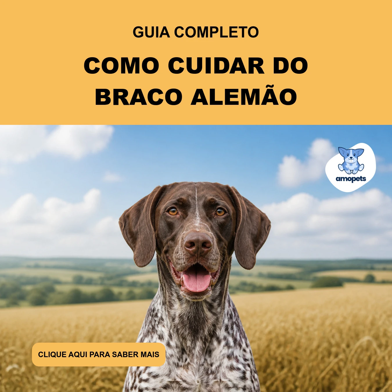 Guia de Como Cuidar do Braco Alemão