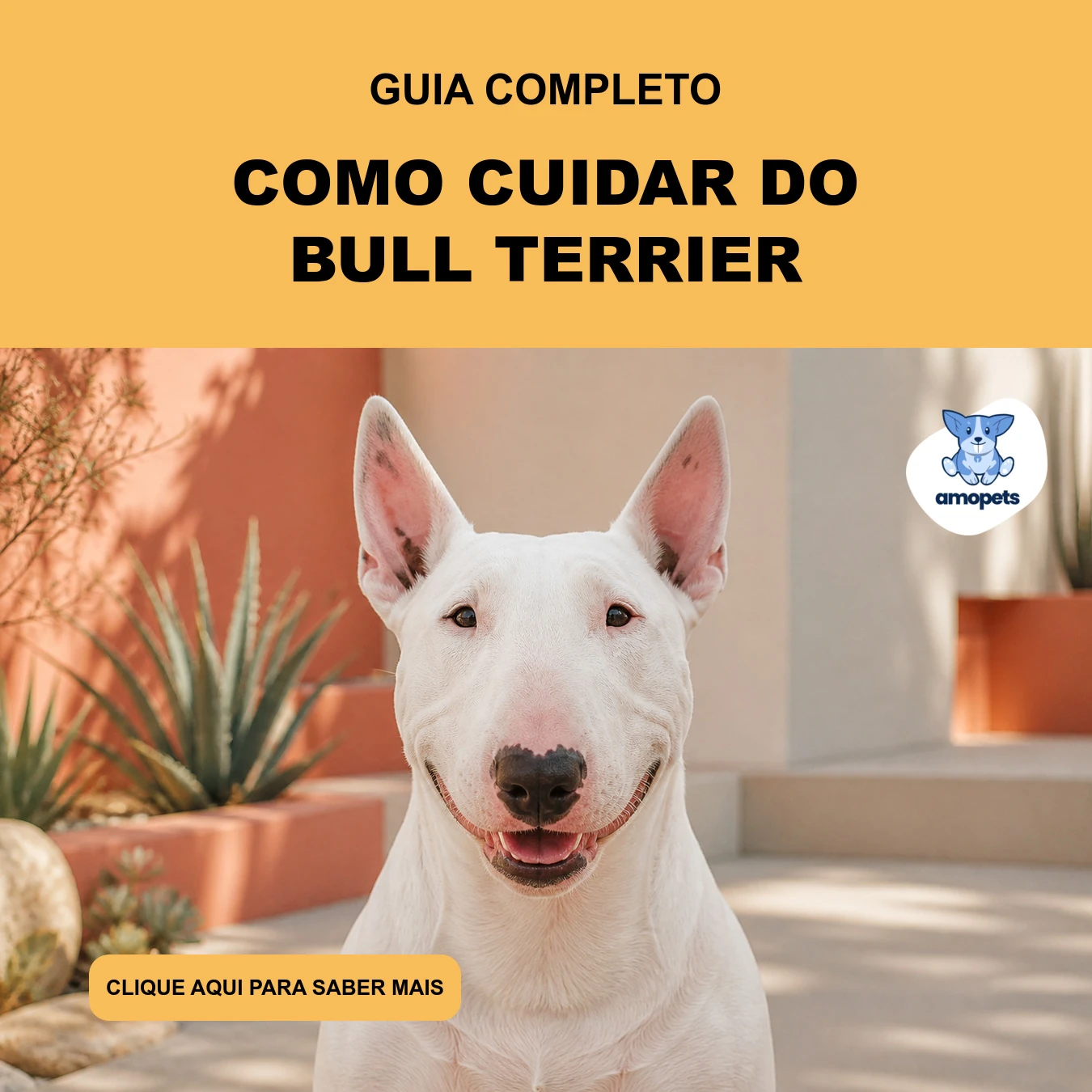 Guia de Como Cuidar do Bull Terrier
