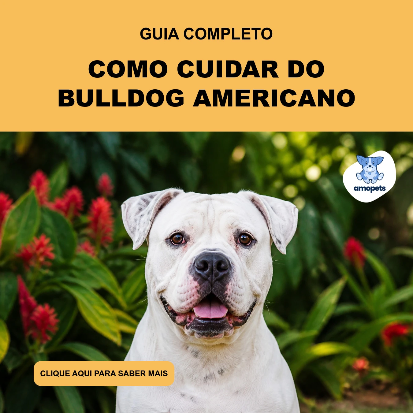 Guia de Como Cuidar do Bulldog Americano
