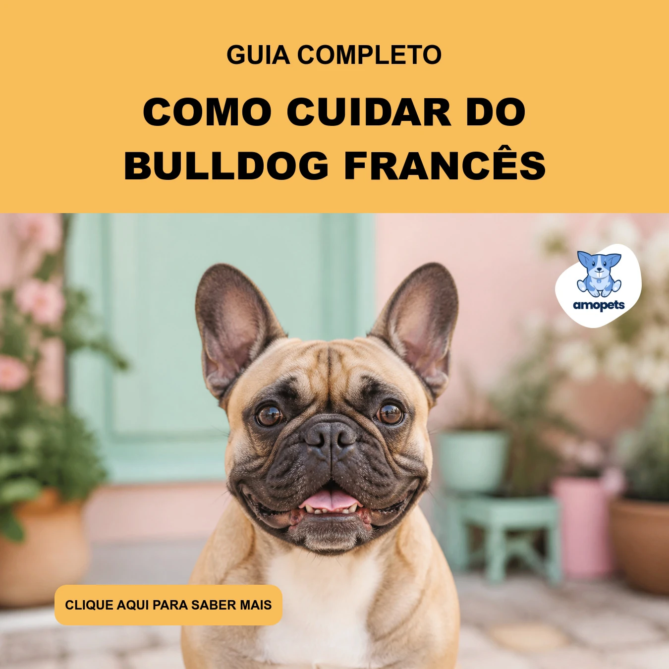 Guia de Como Cuidar do Bulldog Francês