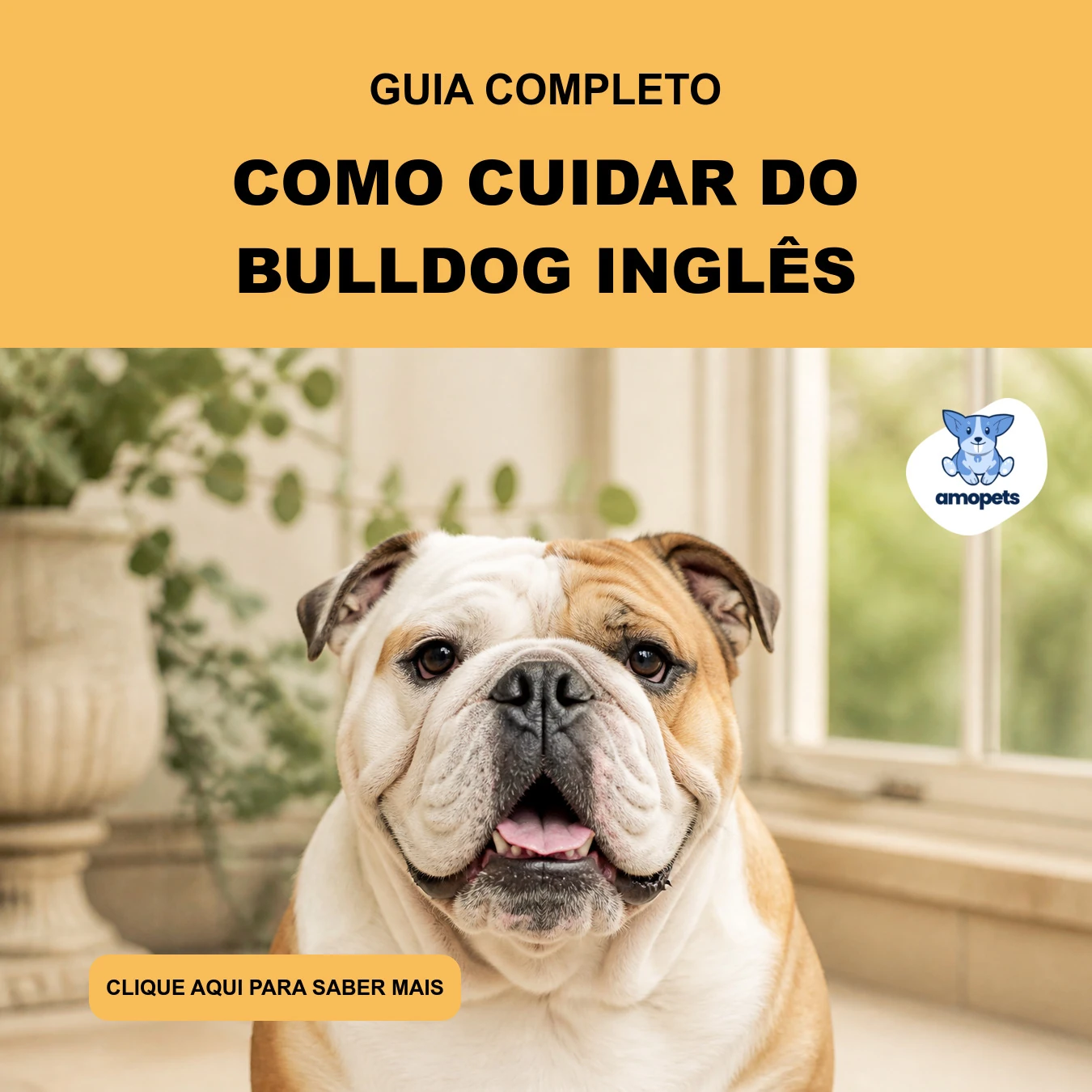 Guia de Como Cuidar do Bulldog Inglês