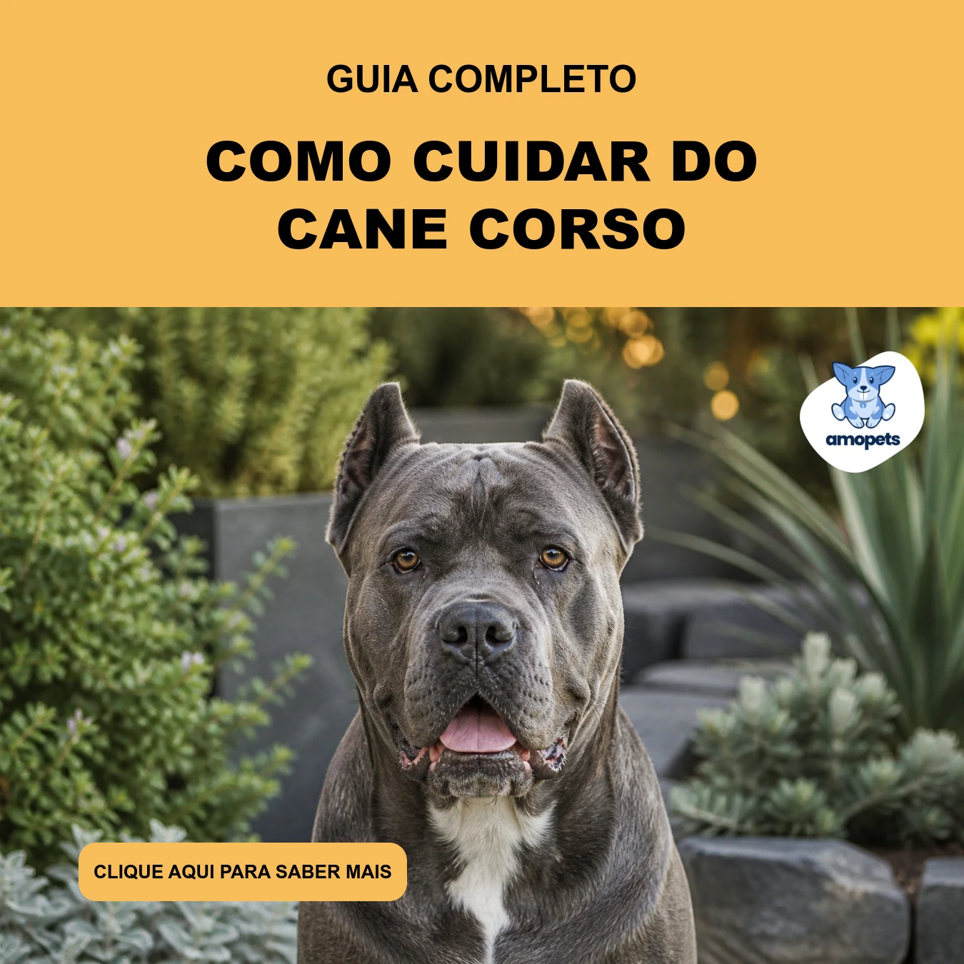 Guia de Como Cuidar do Cane Corso
