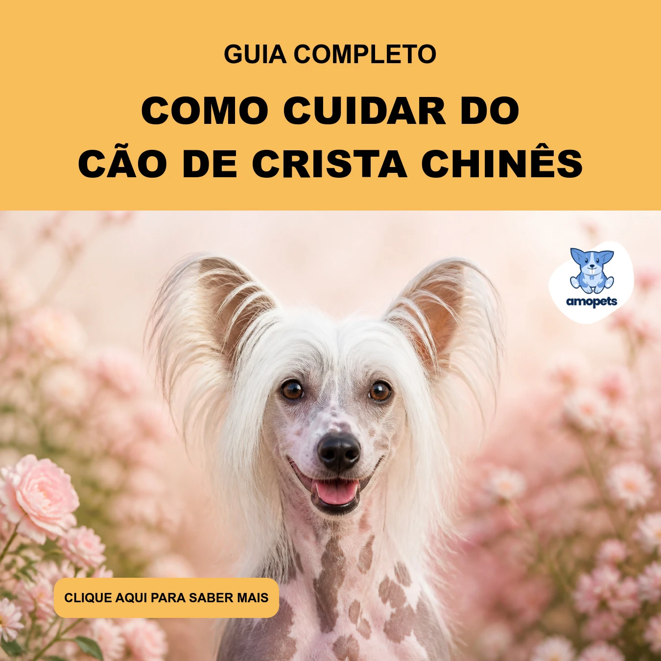 Como Cuidar do Cão de Crista Chinês