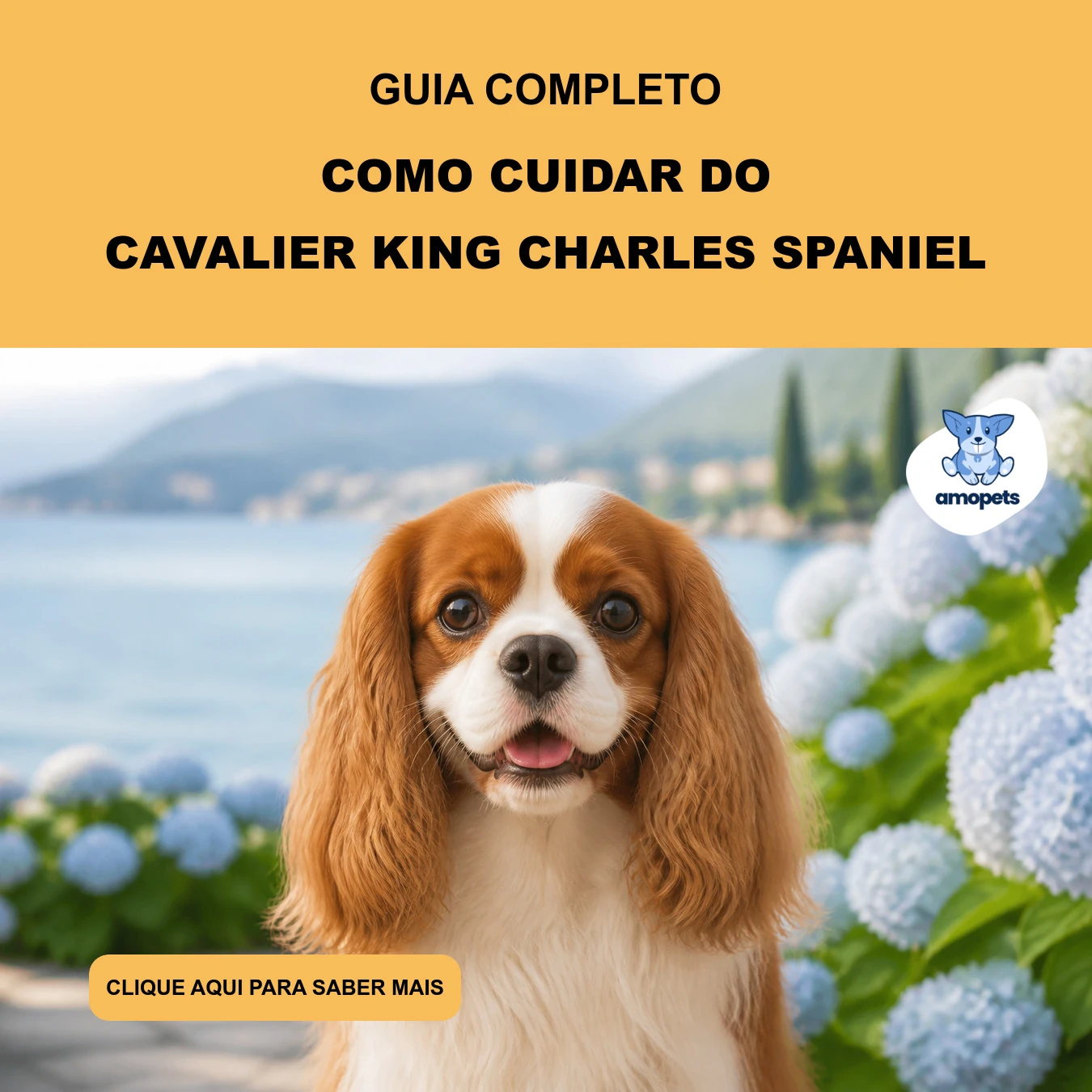 Guia de Como Cuidar do Cavalier King Charles Spaniel