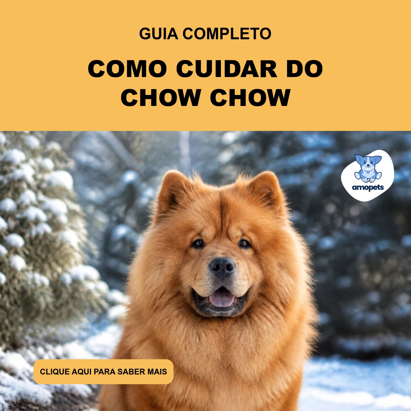 Guia de Como Cuidar do Chow Chow