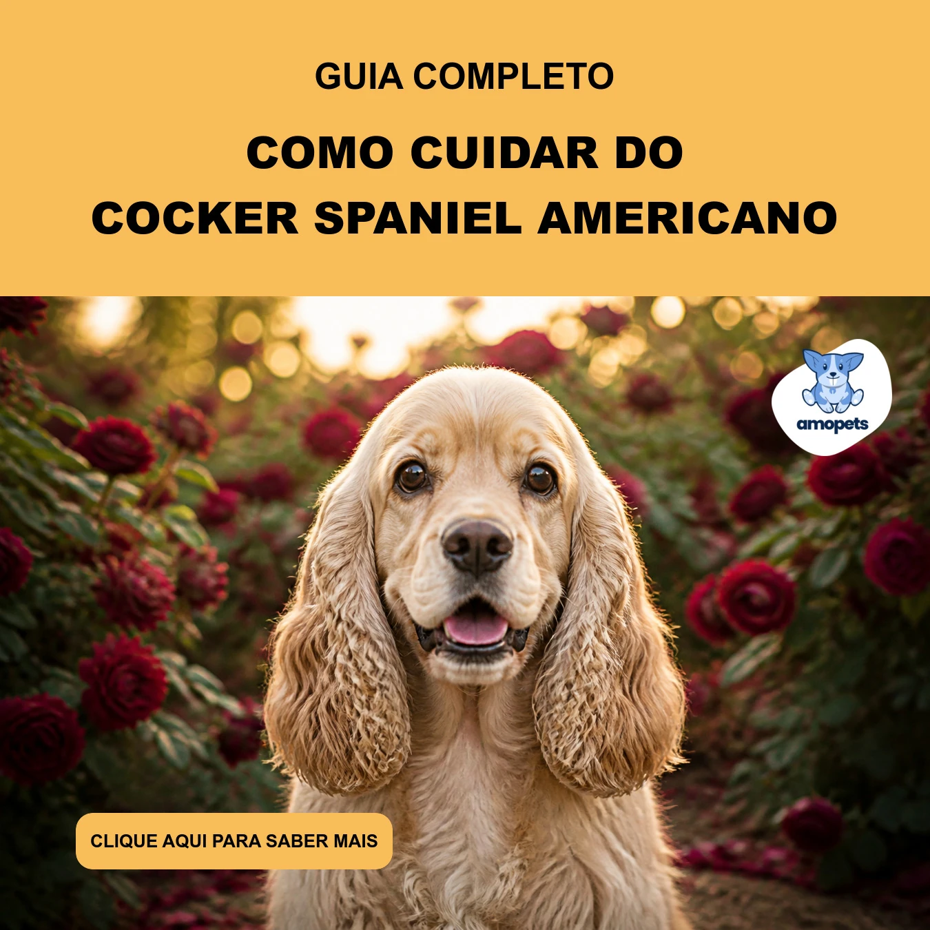 Como Cuidar do Cocker Spaniel Americano