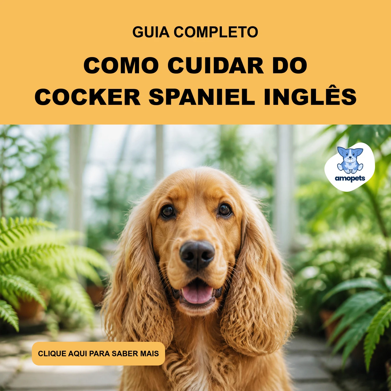 Como Cuidar do Cocker Spaniel Inglês