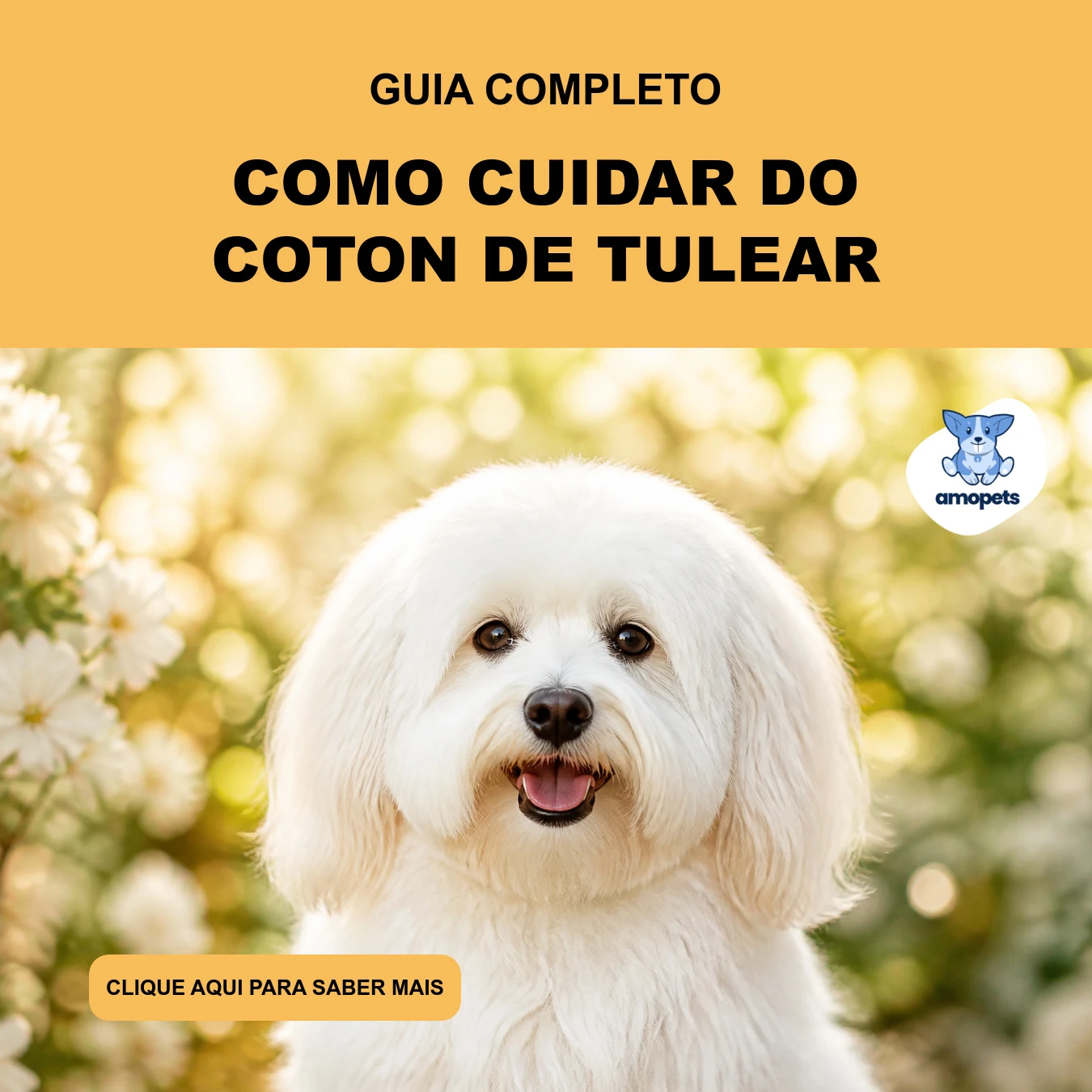 Guia de Como Cuidar do Coton de Tulear