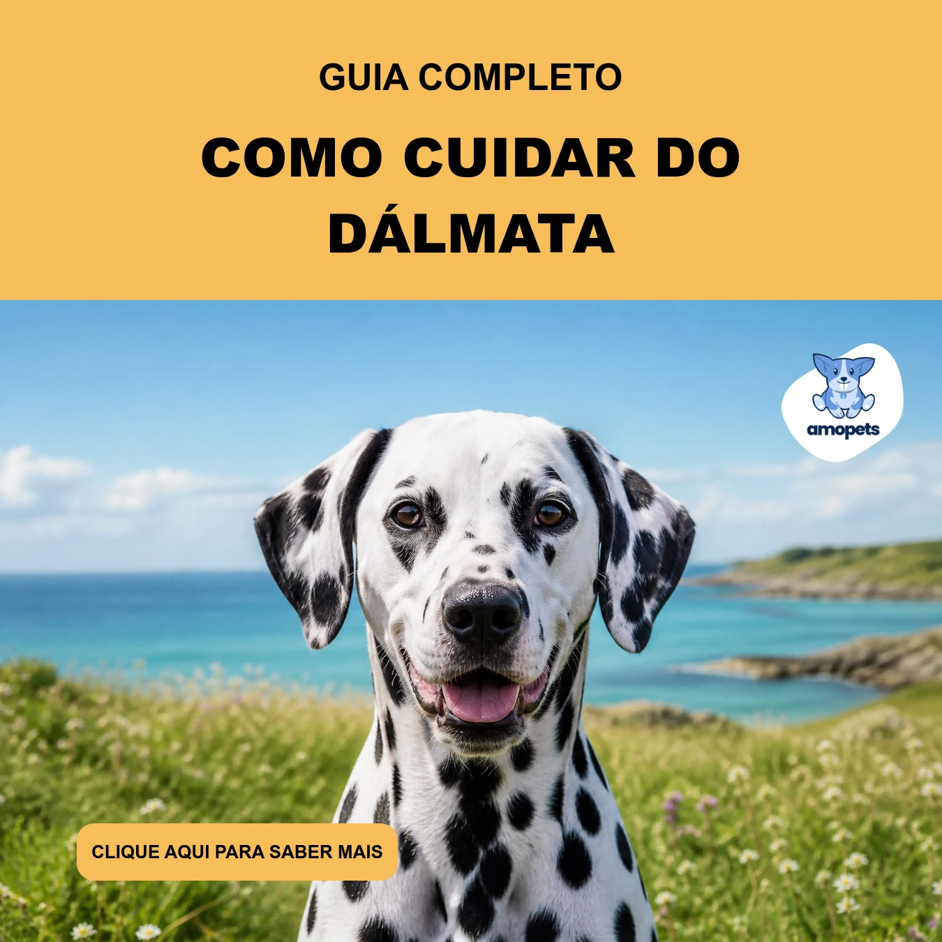 Guia de Como Cuidar do Dálmata