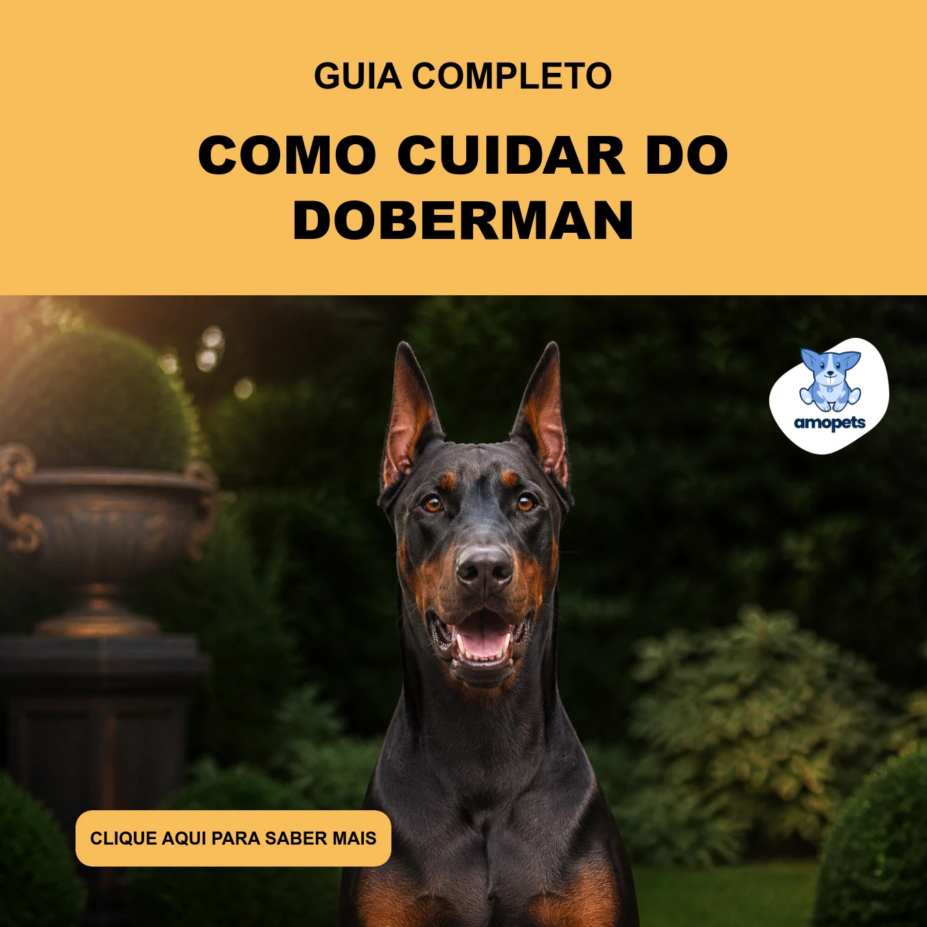Guia de Como Cuidar do Doberman