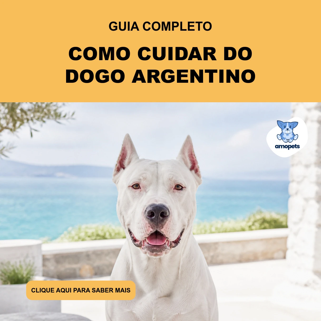 Guia de Como Cuidar do Dogo Argentino
