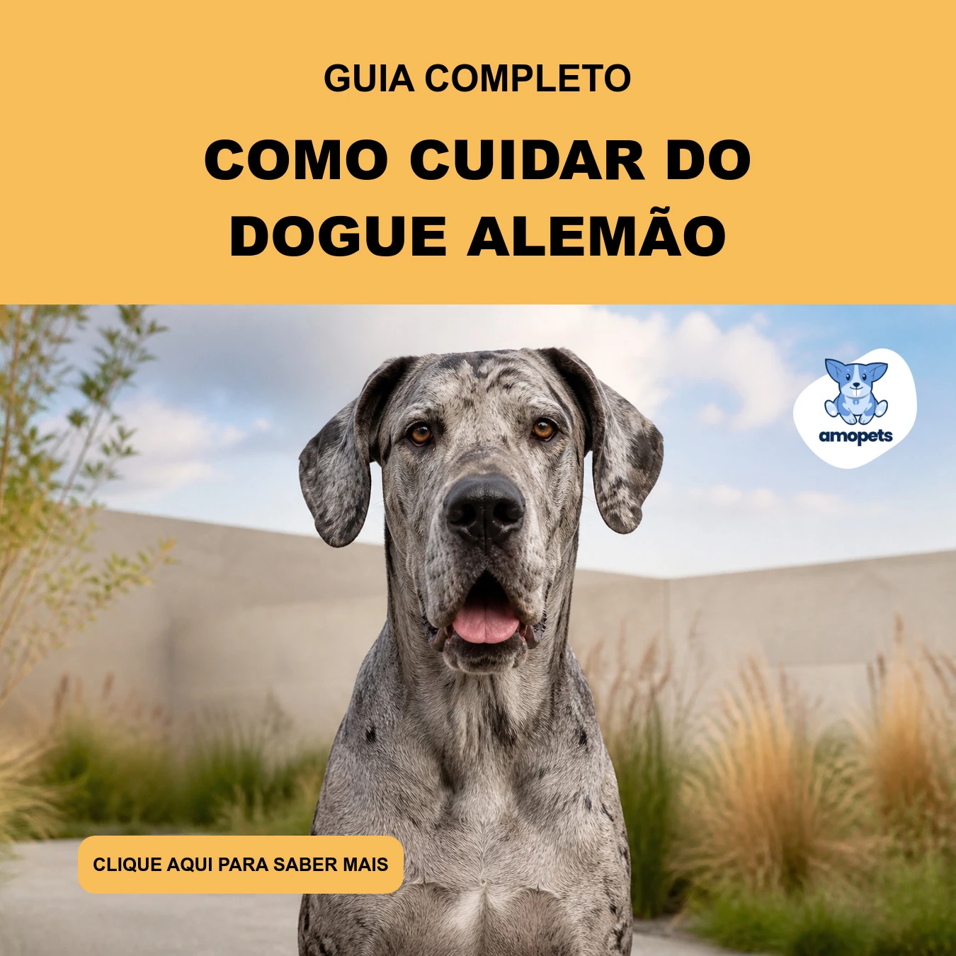 Guia de Como Cuidar do Dogue Alemão