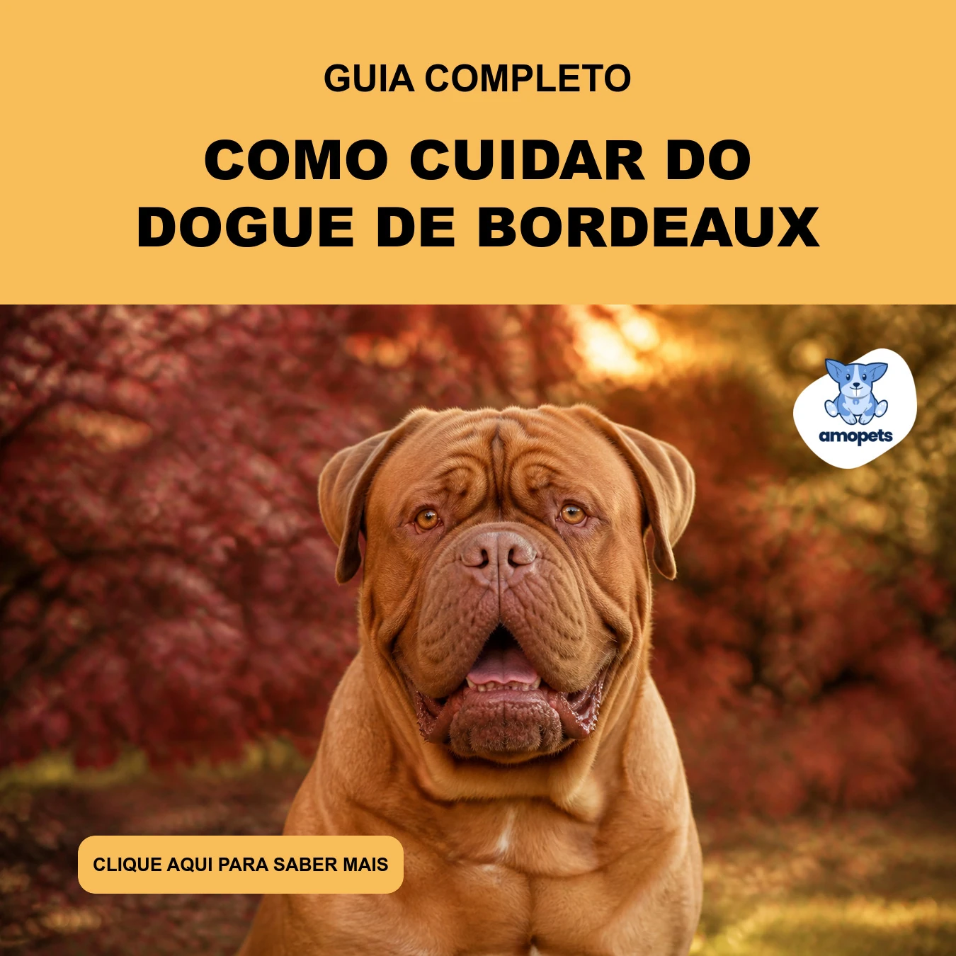 Guia de Como Cuidar do Dogue de Bordeaux