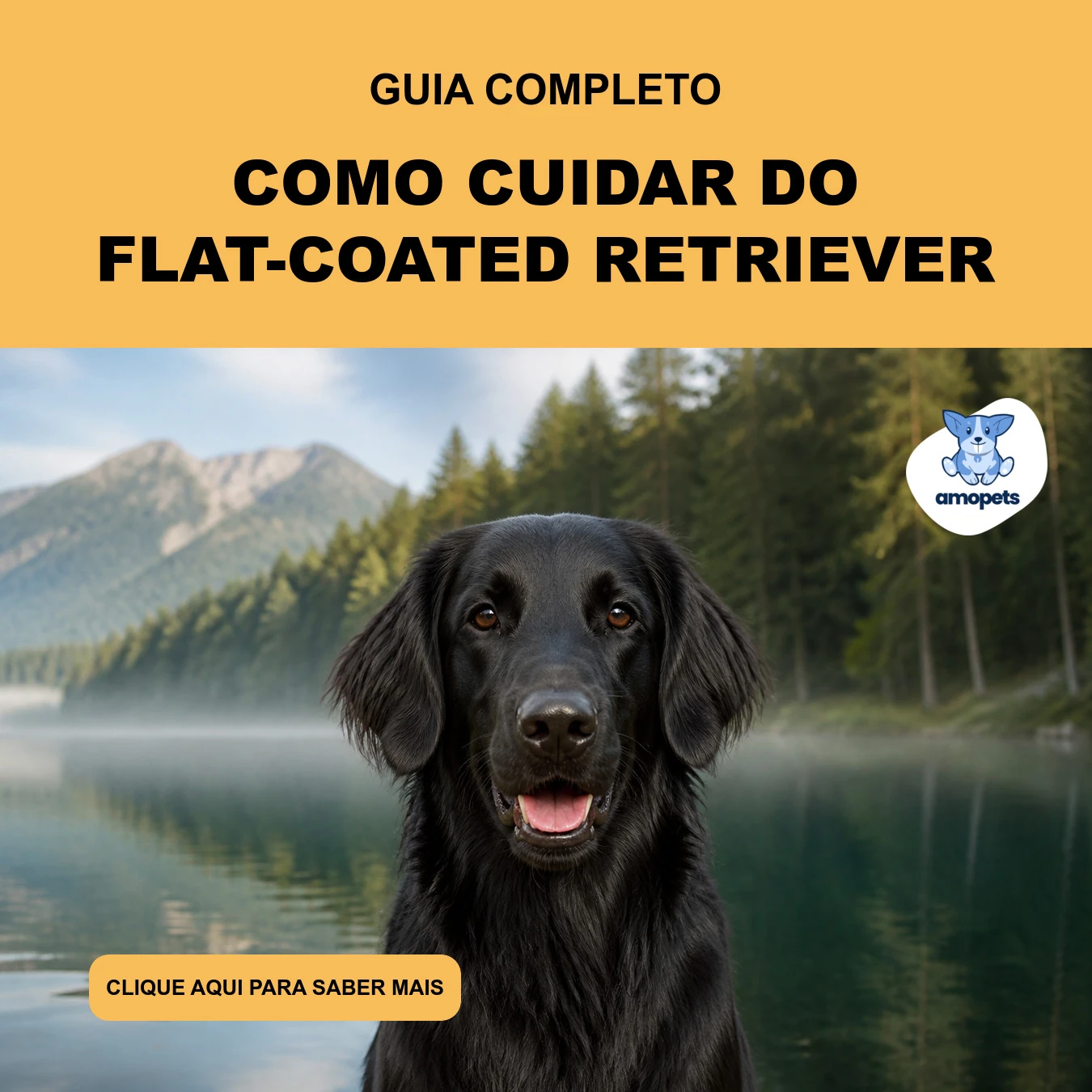 Como Cuidar do Flat-Coated Retriever
