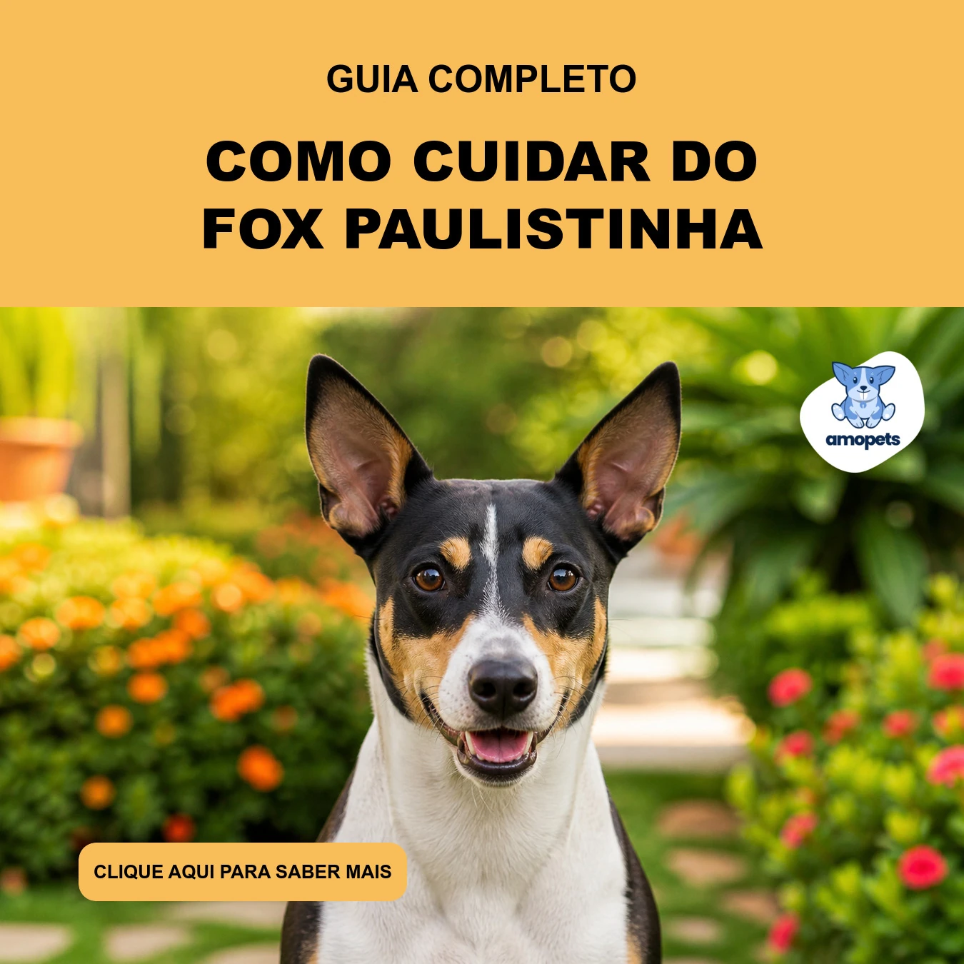 Guia de Como Cuidar do Fox Paulistinha