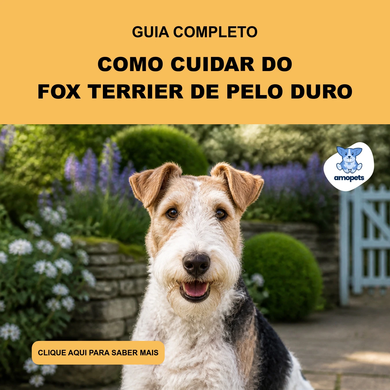Como Cuidar do Fox Terrier de Pelo Duro