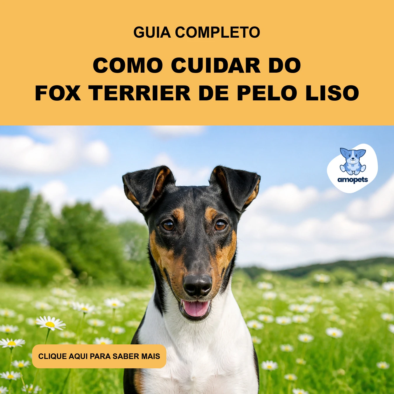 Como Cuidar do Fox Terrier de Pelo Liso