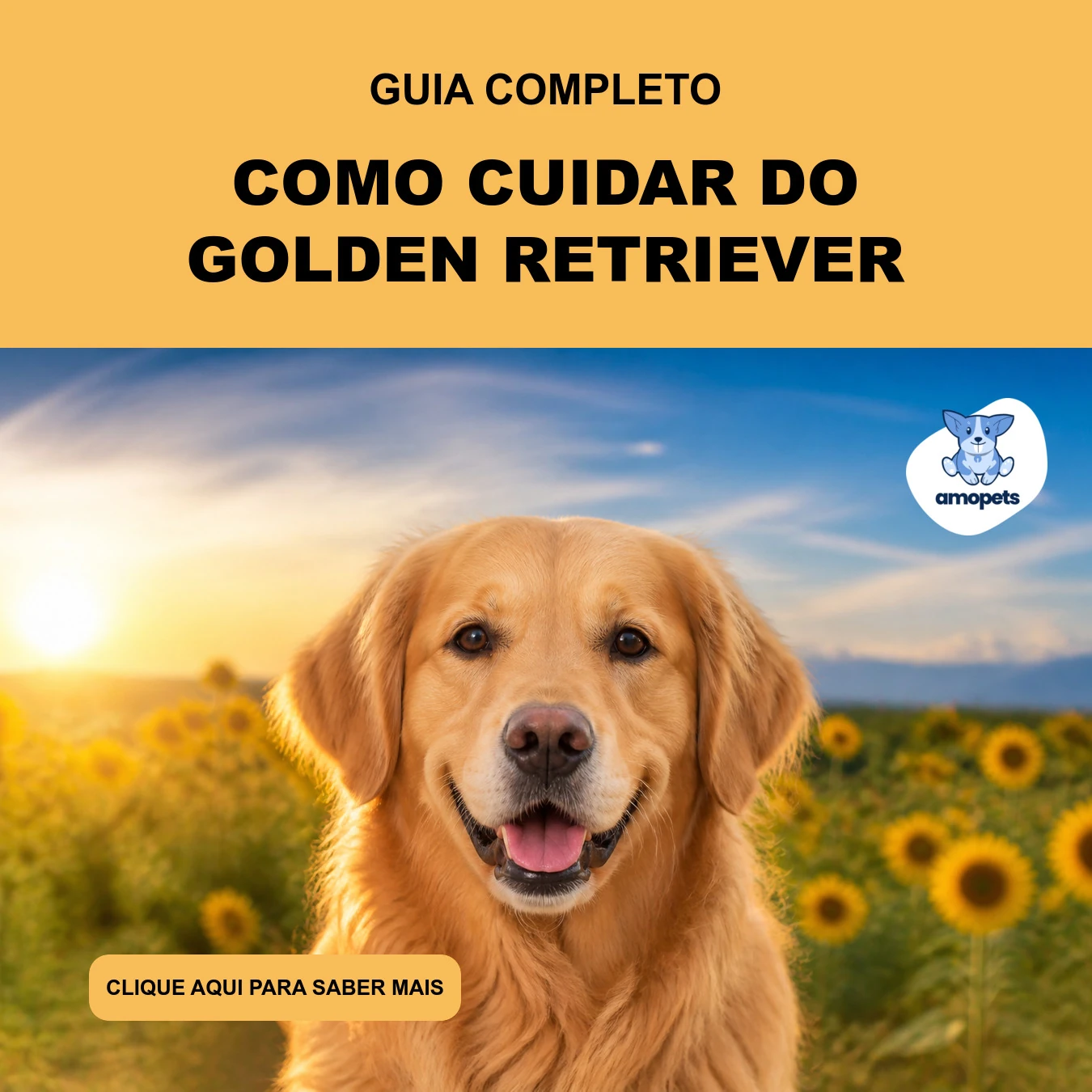 Guia de Como Cuidar do Golden Retriever