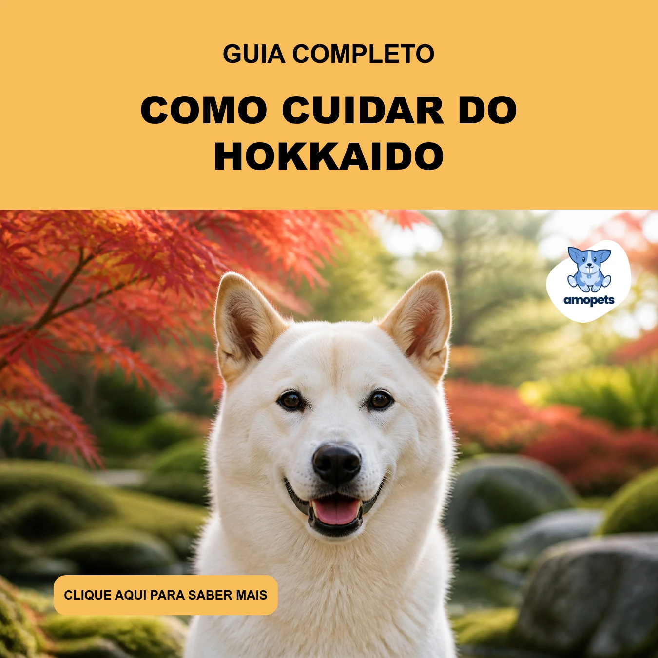 Guia de Como Cuidar do Hokkaido