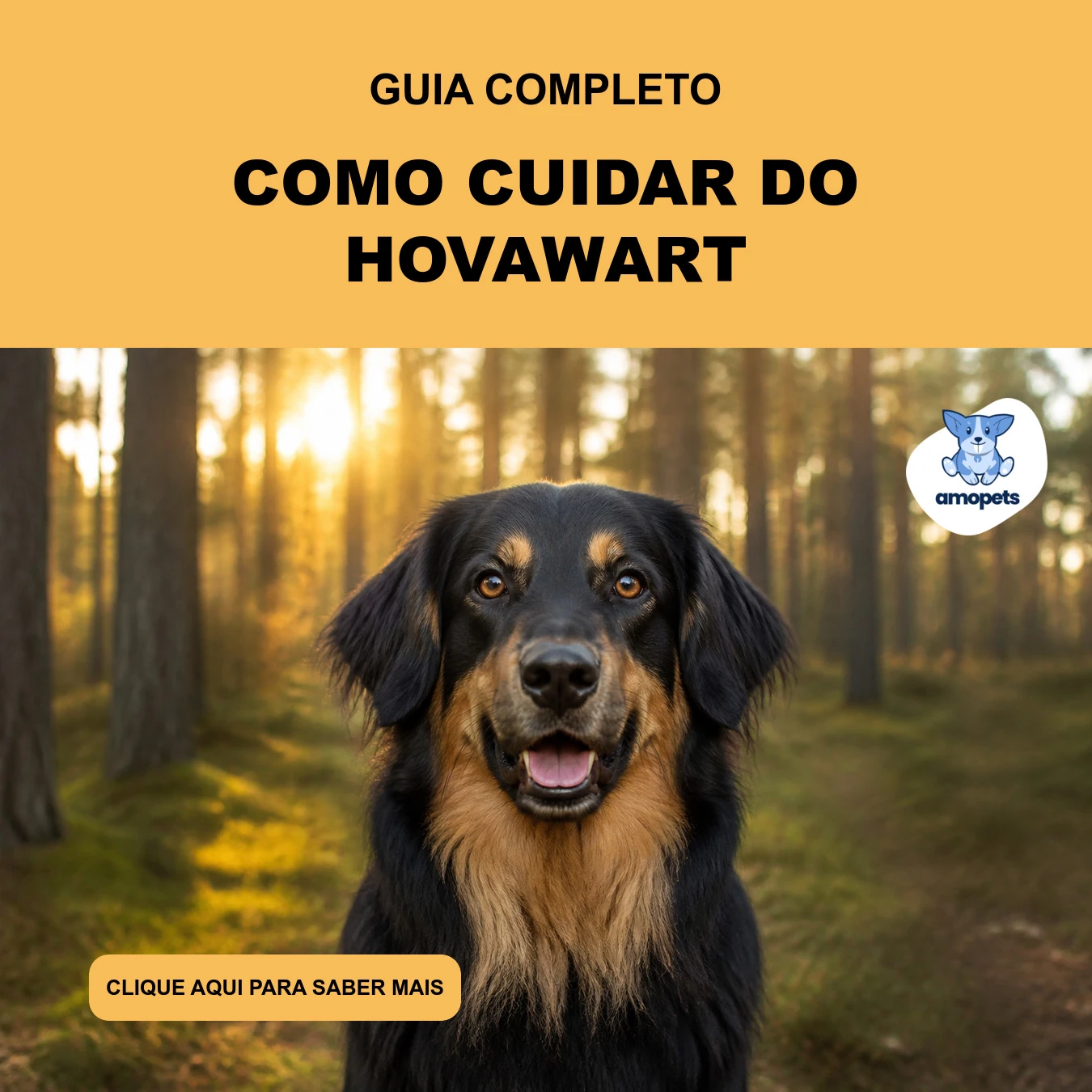 Guia de Como Cuidar do Hovawart