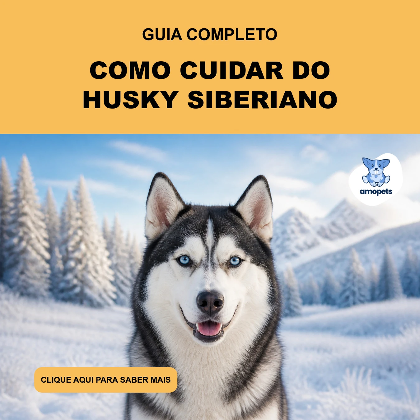 Guia de Como Cuidar do Husky Siberiano