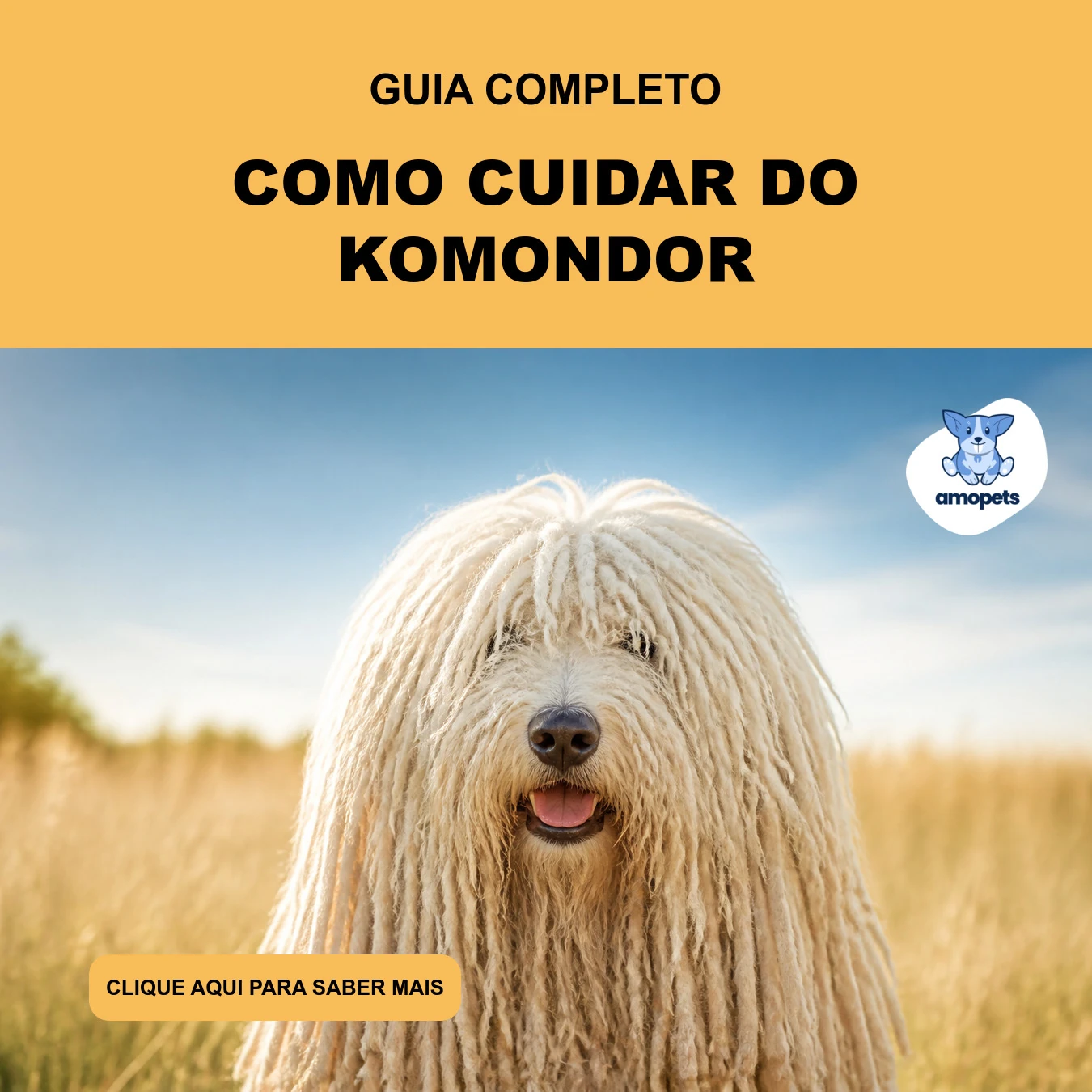 Guia de Como Cuidar do Komondor