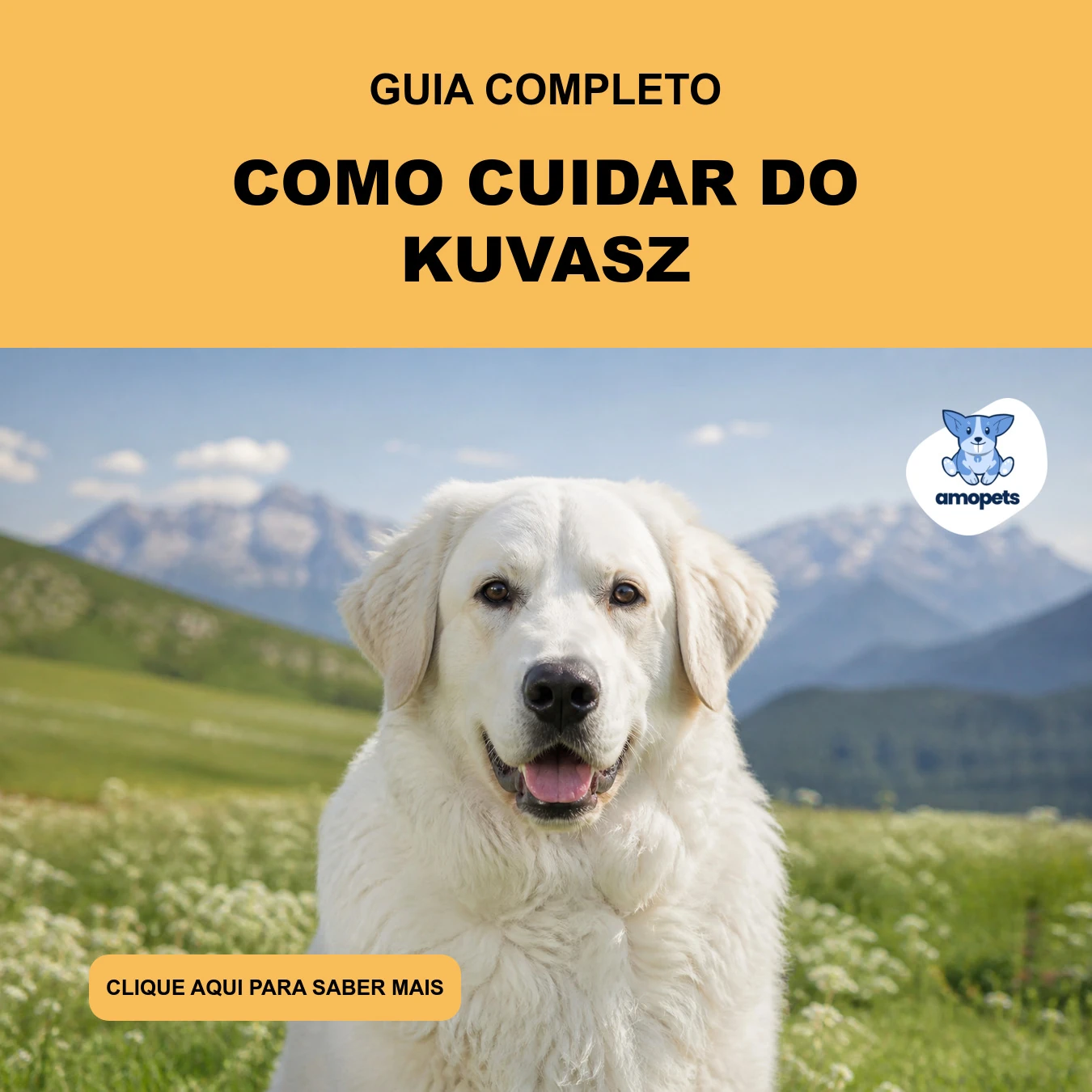 Guia de Como Cuidar do Kuvasz