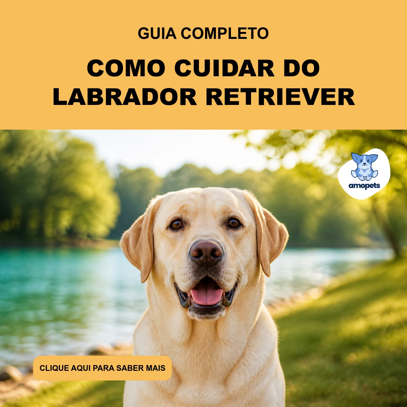 Guia de Como Cuidar do Labrador Retriever