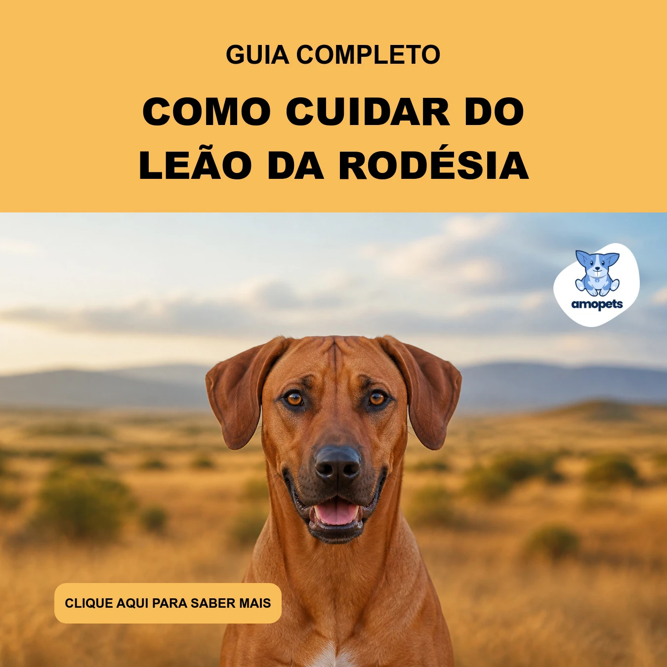 Guia de Como Cuidar do Leão da Rodésia