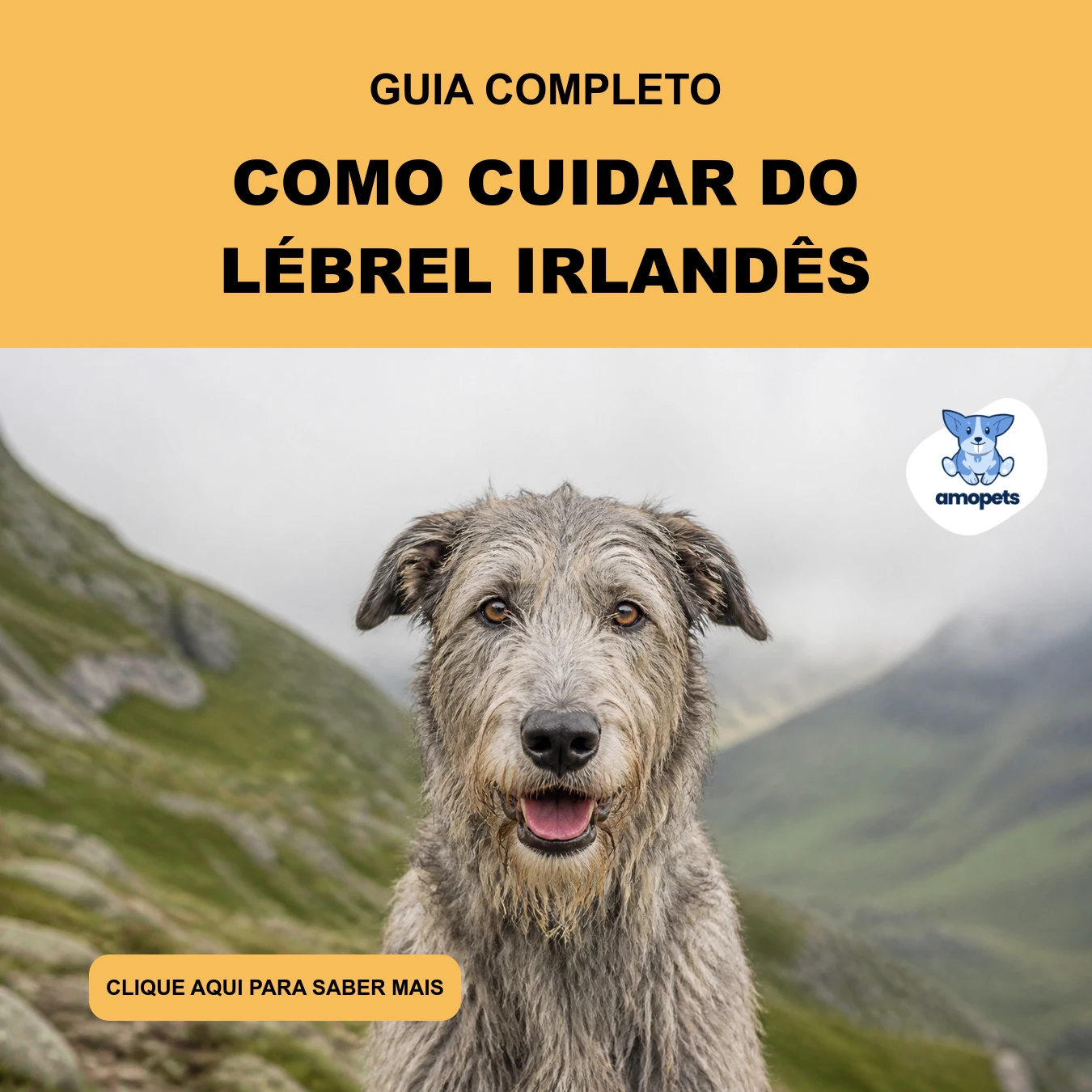 Guia de Como Cuidar do Lébrel Irlandês