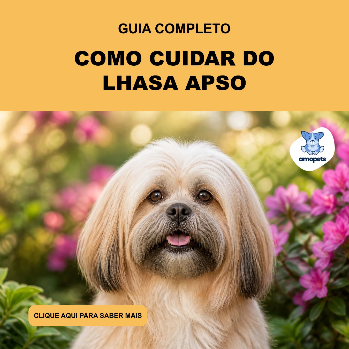 Guia de Como Cuidar do Lhasa Apso
