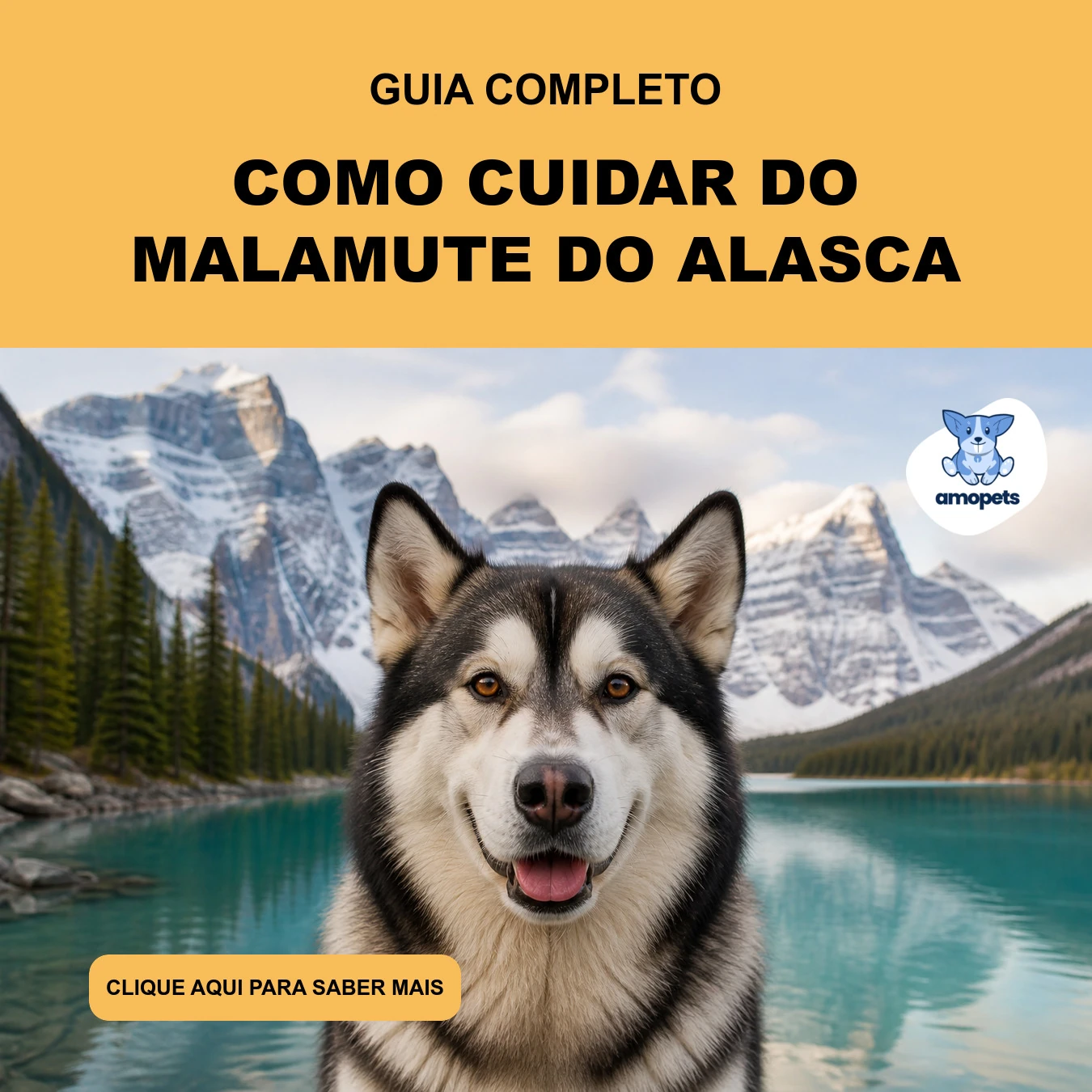 Guia de Como Cuidar do Malamute do Alasca
