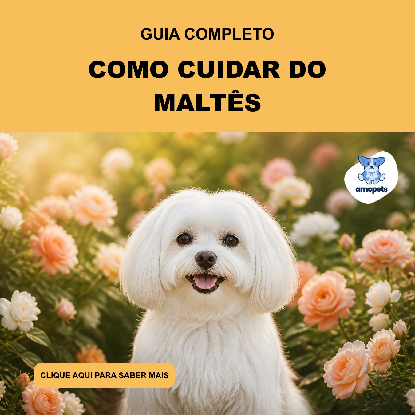 Guia de Como Cuidar do Maltês