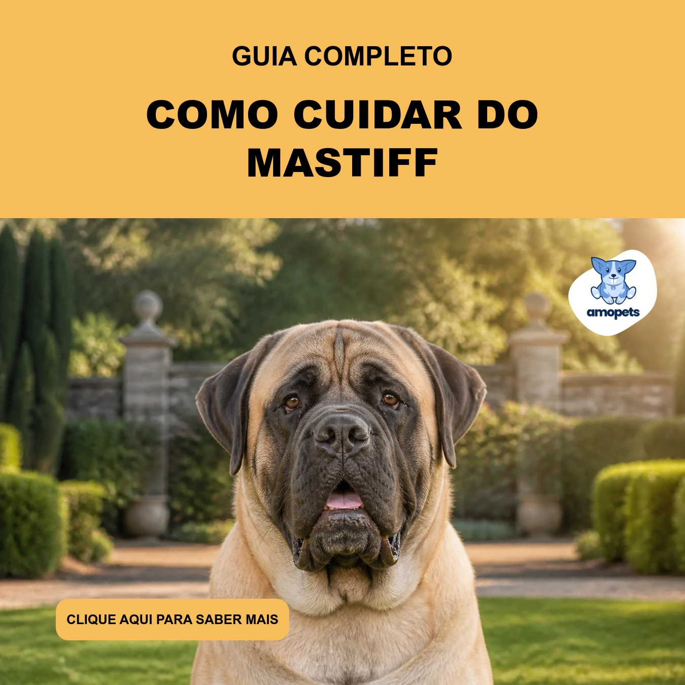 Guia de Como Cuidar do Mastiff