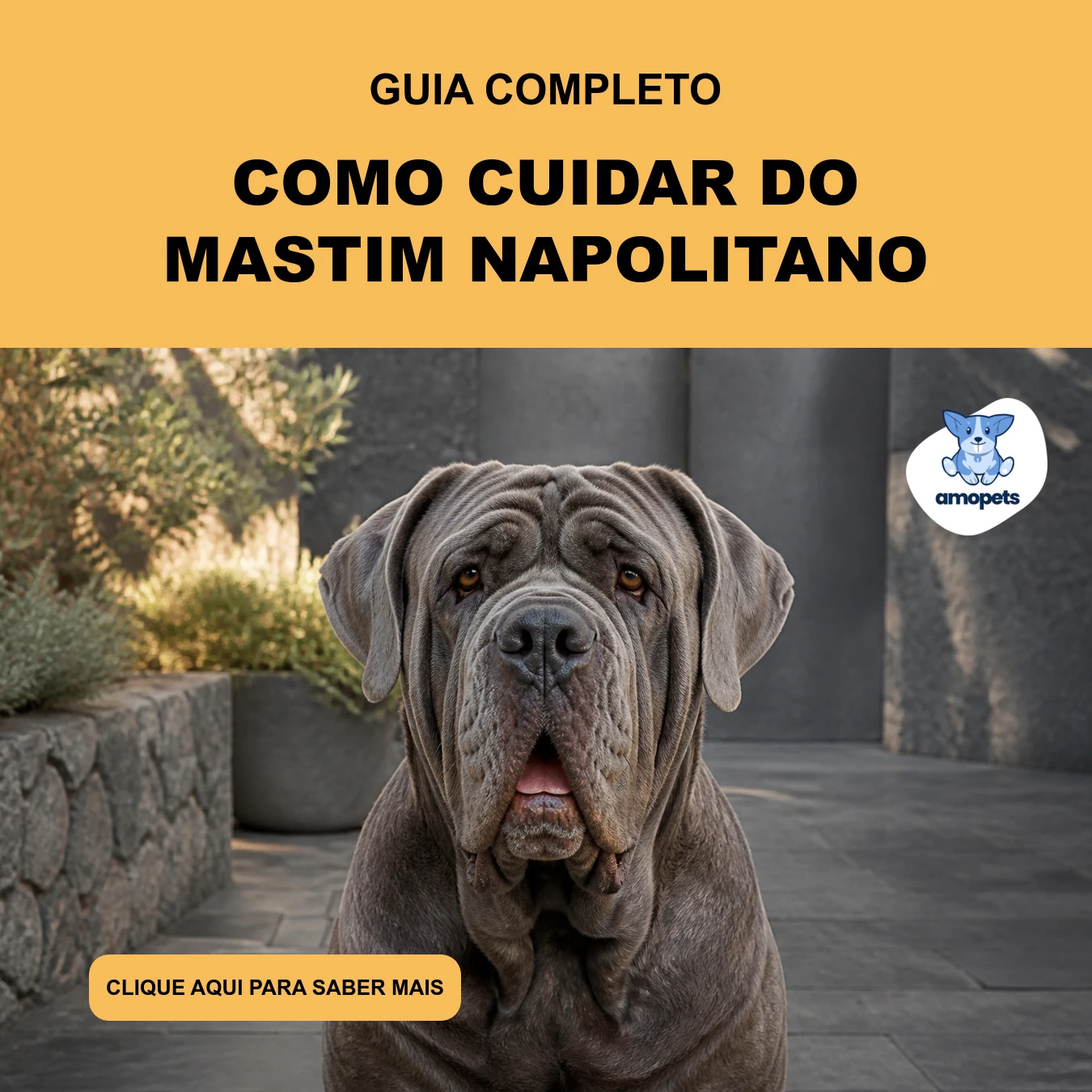 Guia de Como Cuidar do Mastim Napolitano