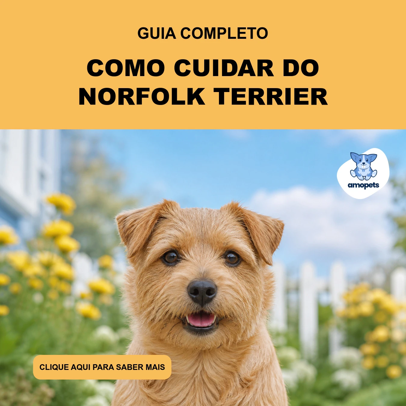 Guia de Como Cuidar do Norfolk Terrier