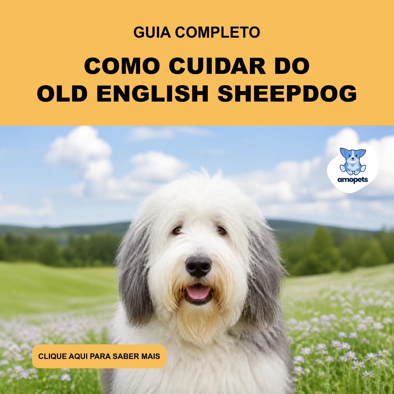 Como Cuidar do Old English Sheepdog